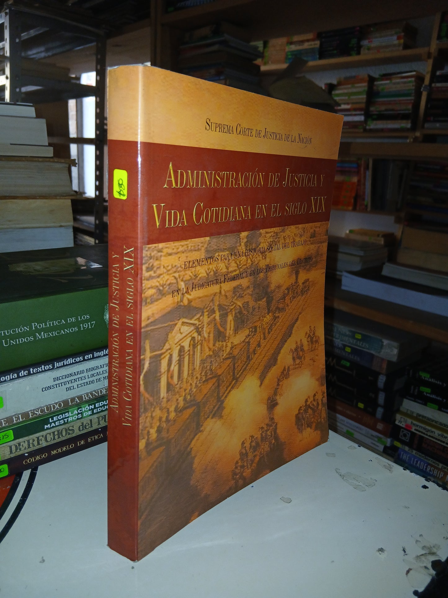 ADMINISTRACIÓN DE JUSTICIA Y VIDA COTIDIANA EN EL SIGLO XIX POR SALVADOR CÁRDENAS GUTIÉRREZ USADO DERECHO LITERARIO 207