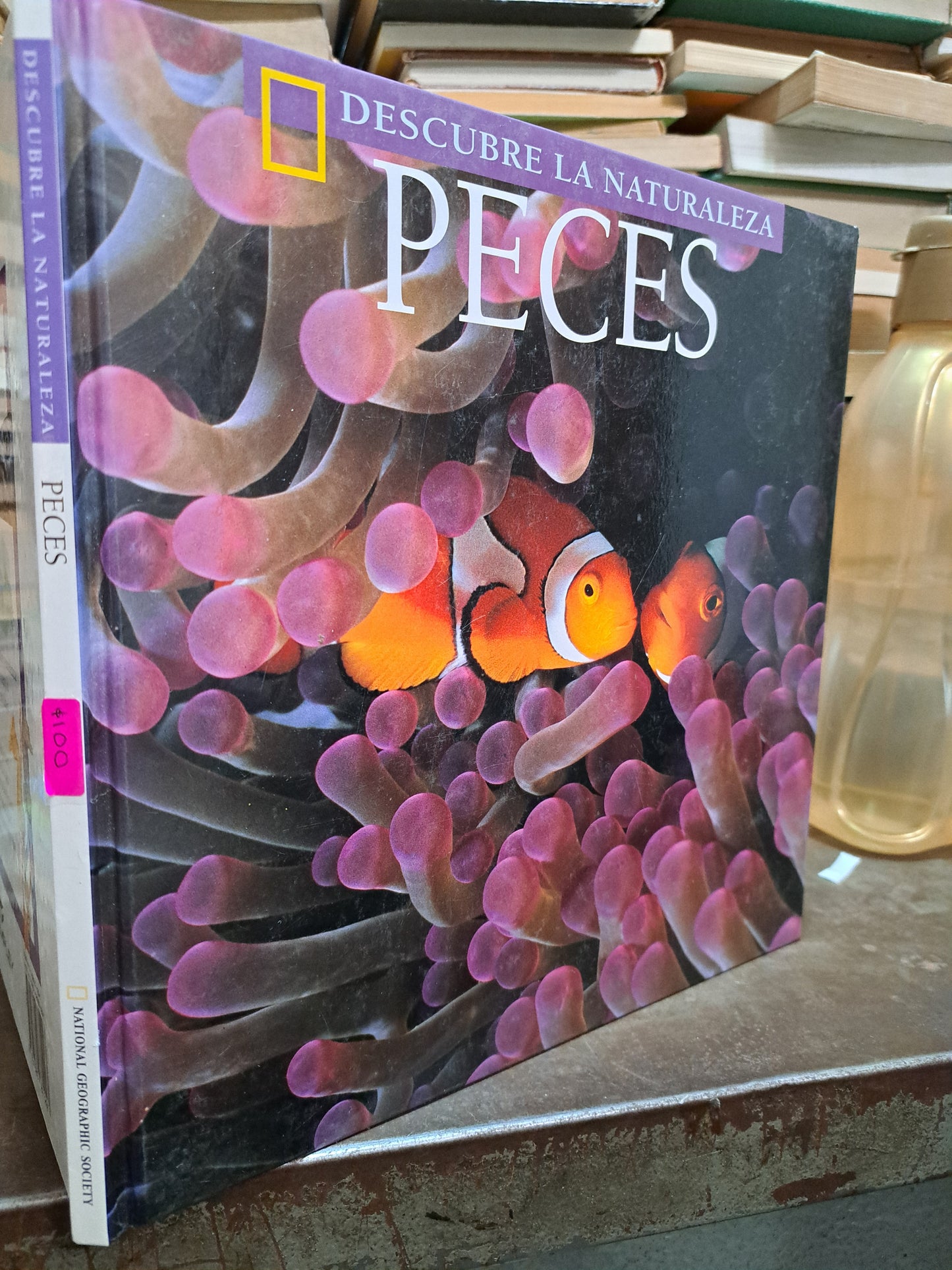 DESCUBRE LA NATURALEZA PECES ELIZABETH SCHLEICHERT USADO INFANTIL ALDAMA