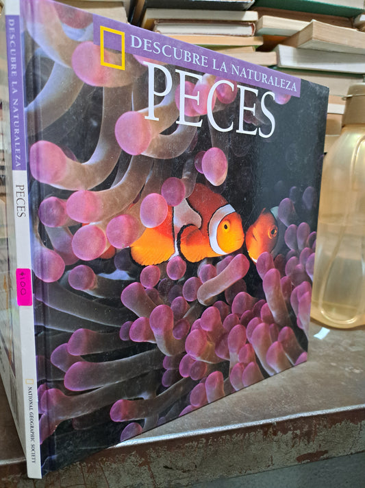 DESCUBRE LA NATURALEZA PECES ELIZABETH SCHLEICHERT USADO INFANTIL ALDAMA