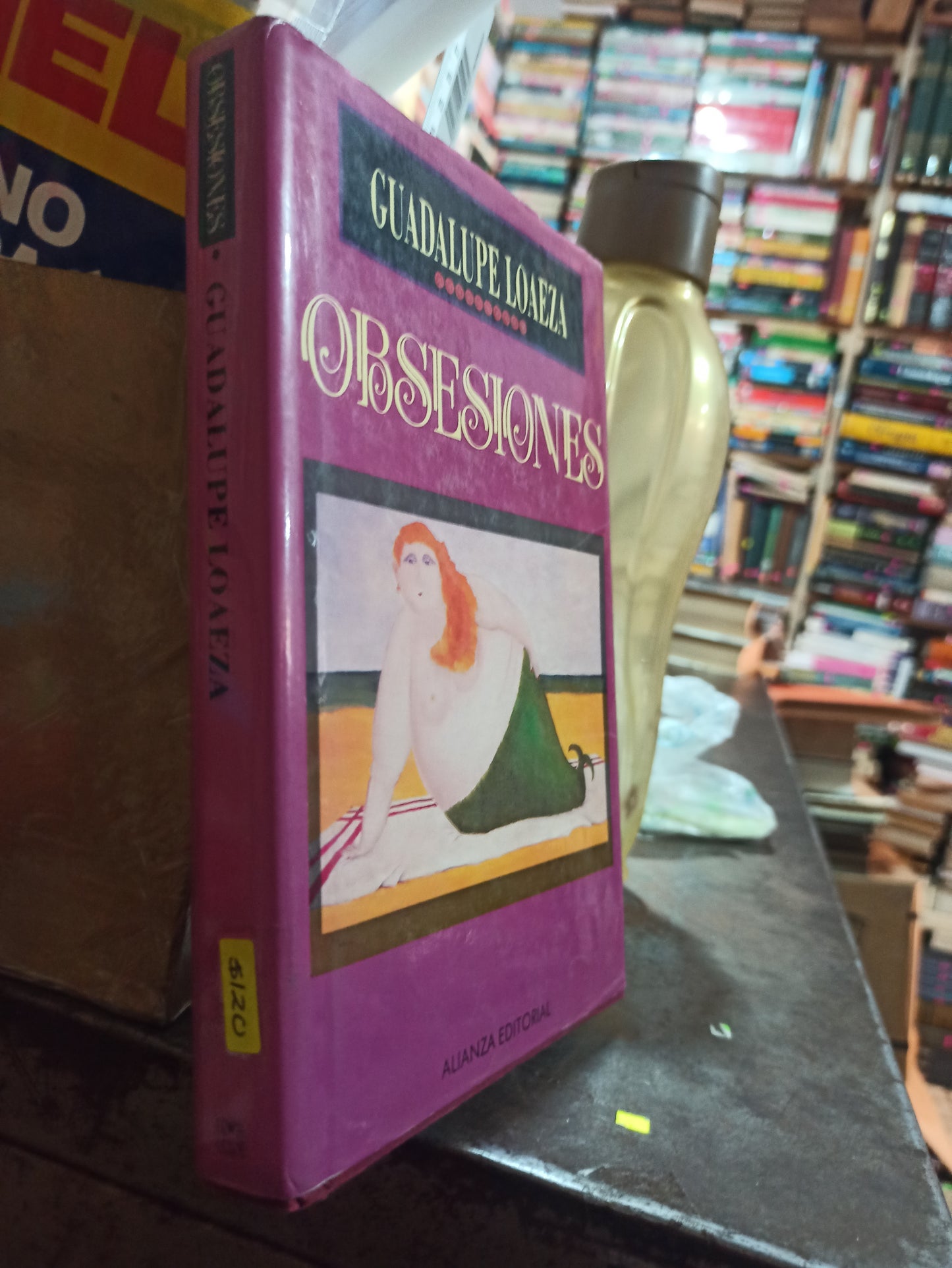 OBSESIONES POR GUADALUPE LOAEZA USADO POLÍTICA ALDAMA