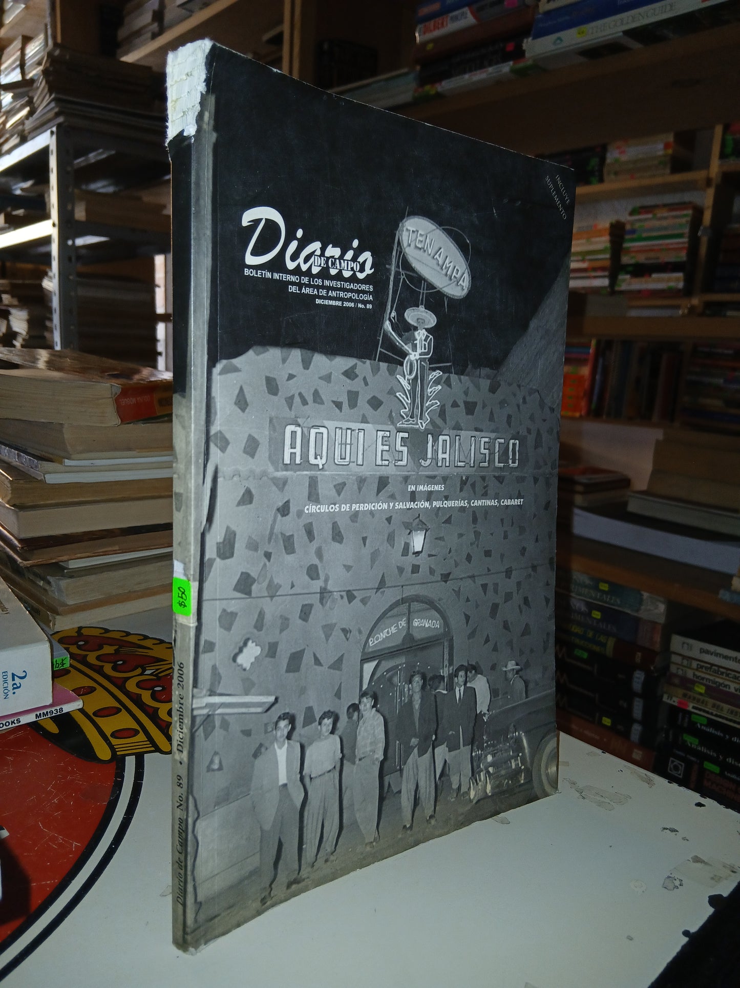 DIARIO DE CAMPO N° 89 (VARIOS AUTORES) USADO ANTROPOLOGÍA LITERARIO 207