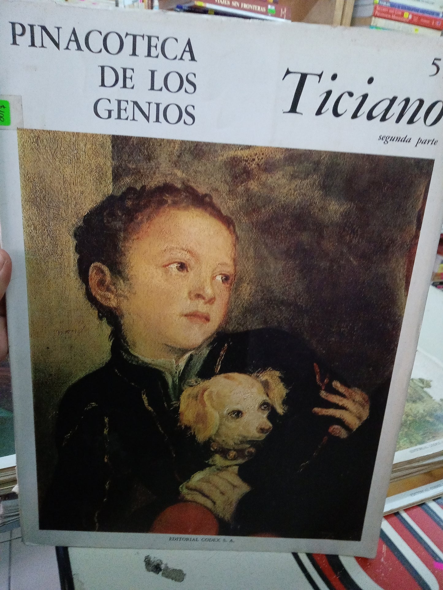 PINACOTECA DE LOS GENIOS TICIANO POR RODOLFO PALLUCCINI USADO ARTE LITERARIO 207