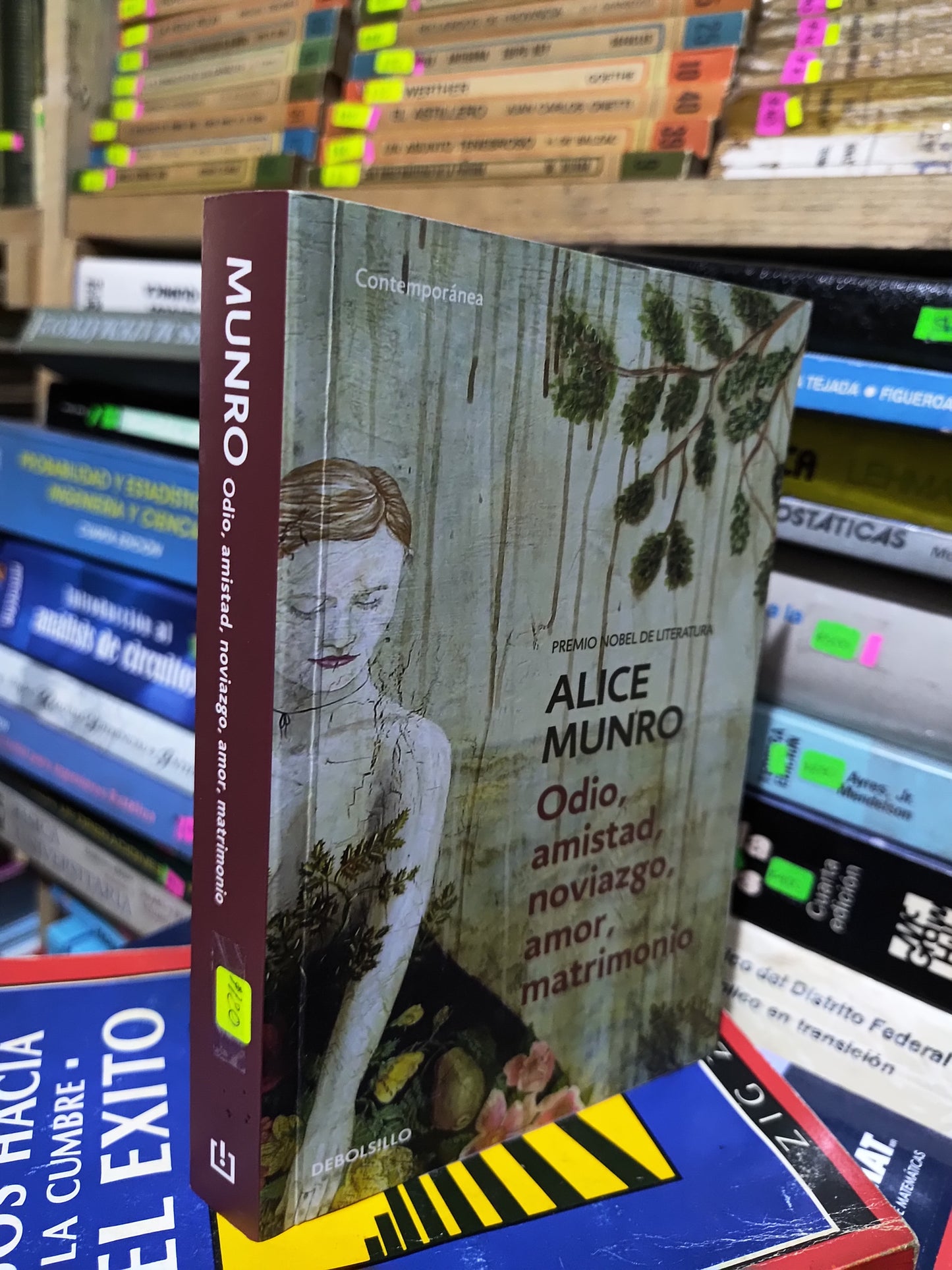 ODIO AMISTAD NOVIAZFO AMOR MATRIMONIO POR ALICE MUNRO USADO NOVELAS JUAREZ 507