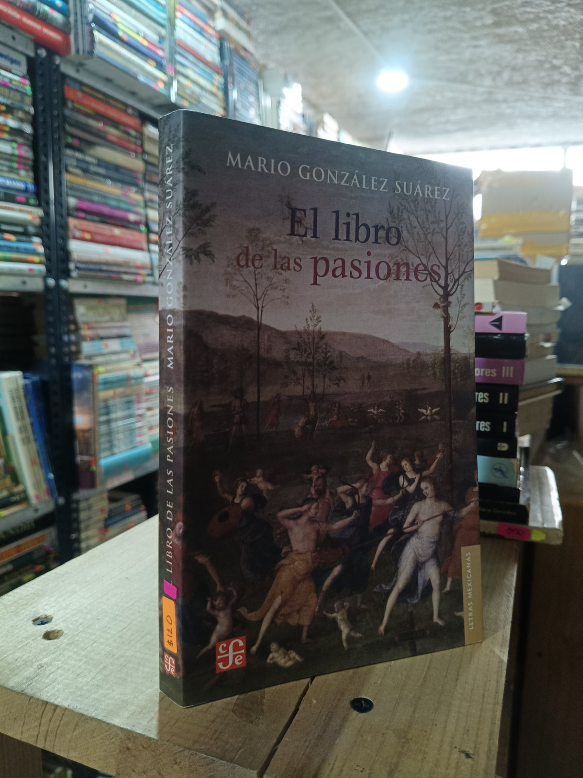 EL LIBRO DE LAS PASIONES POR MARIO GONZALEZ SUAREZ USADO NOVELA ALDAMA
