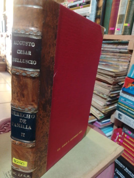 DERECHO DE FAMILIA II POR AUGUSTO CESAR BELLUSCIO USADO DERECHO JUÁREZ