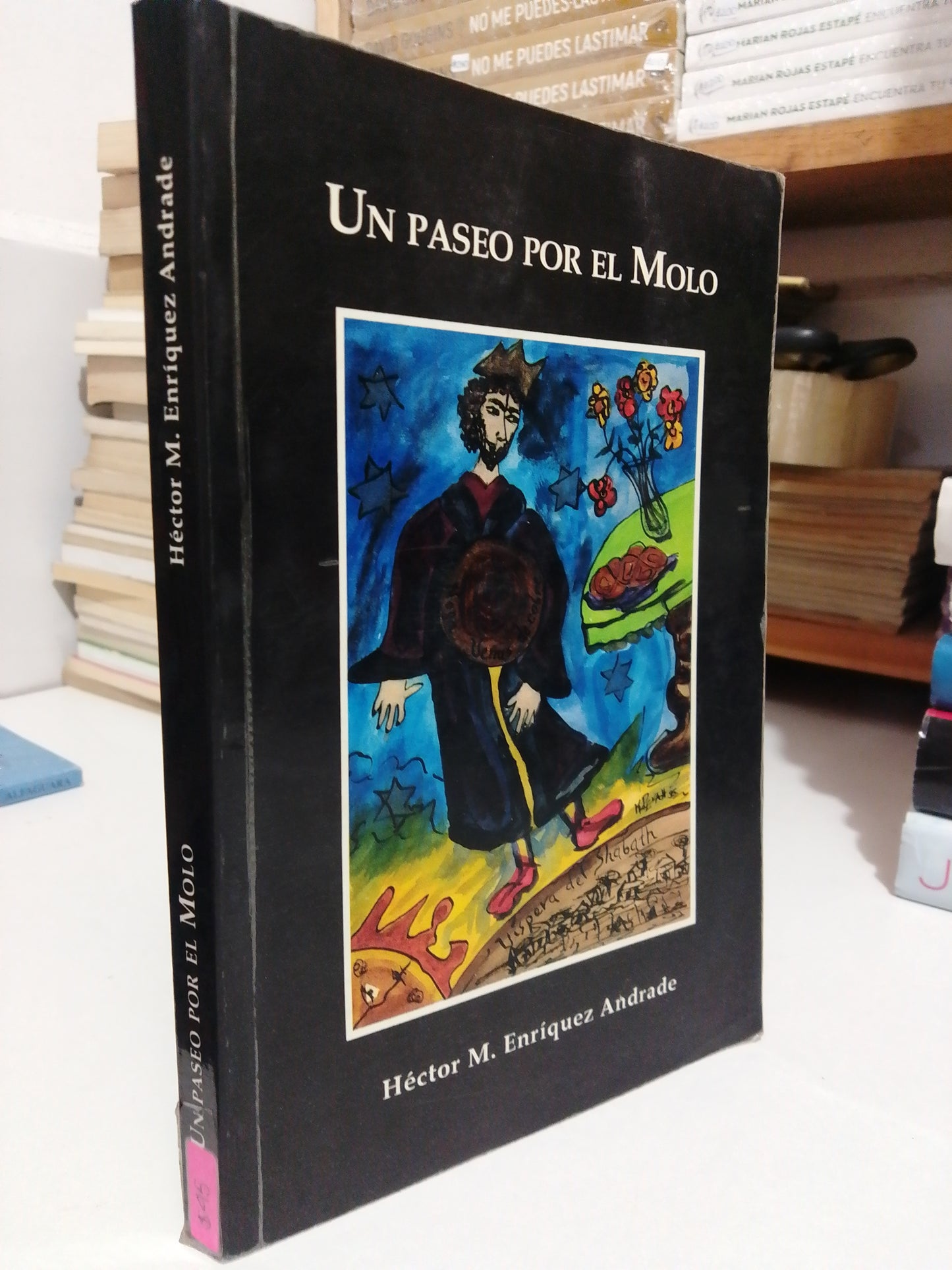 UN PASEO POR EL MOLO POR HÉCTOR M ENRÍQUEZ USADO NOVELA JUÁREZ