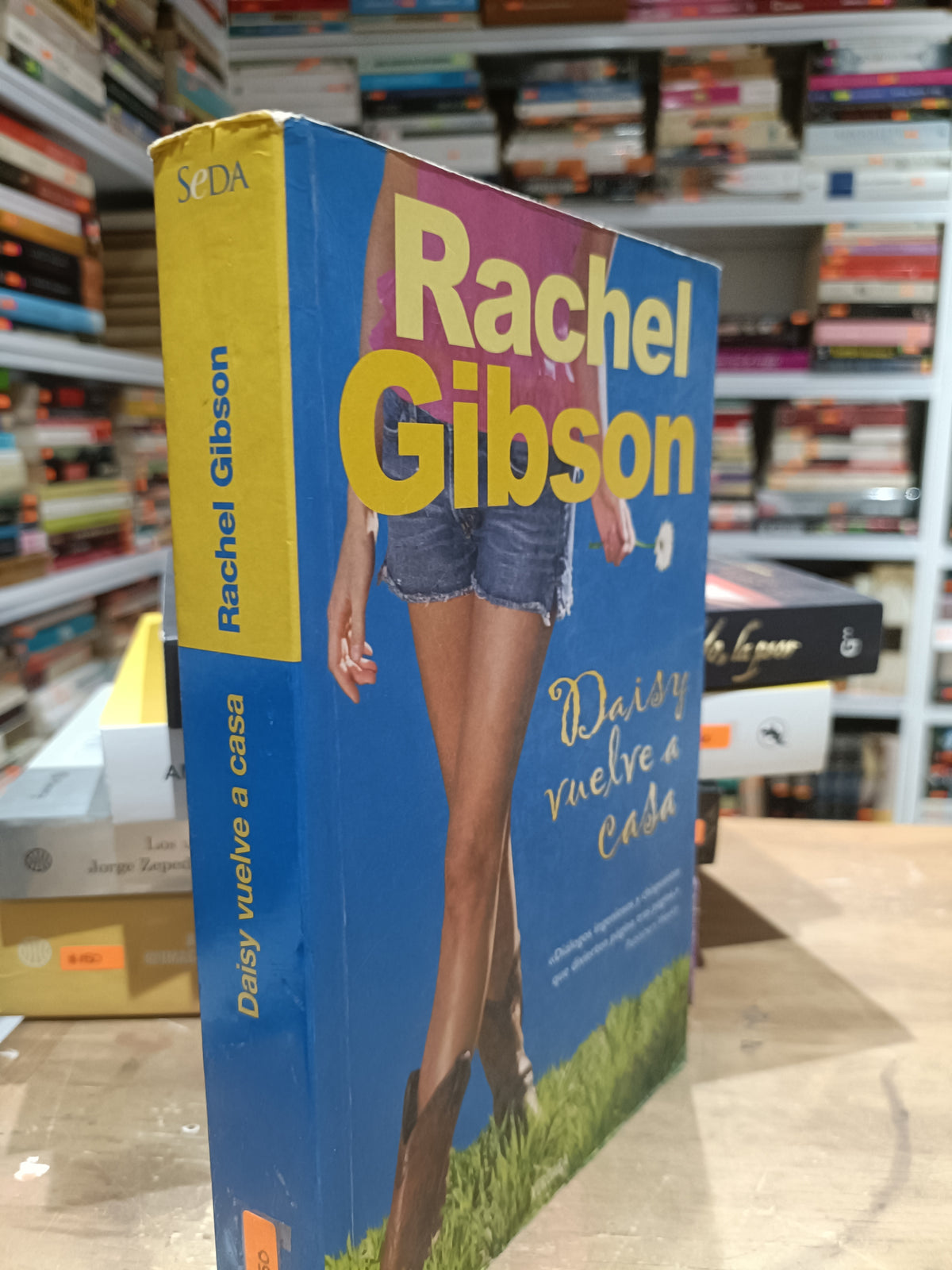 DAISY VUELVE A CASA POR RACHEL GIBSON USADO NOVELA JUAREZ 515