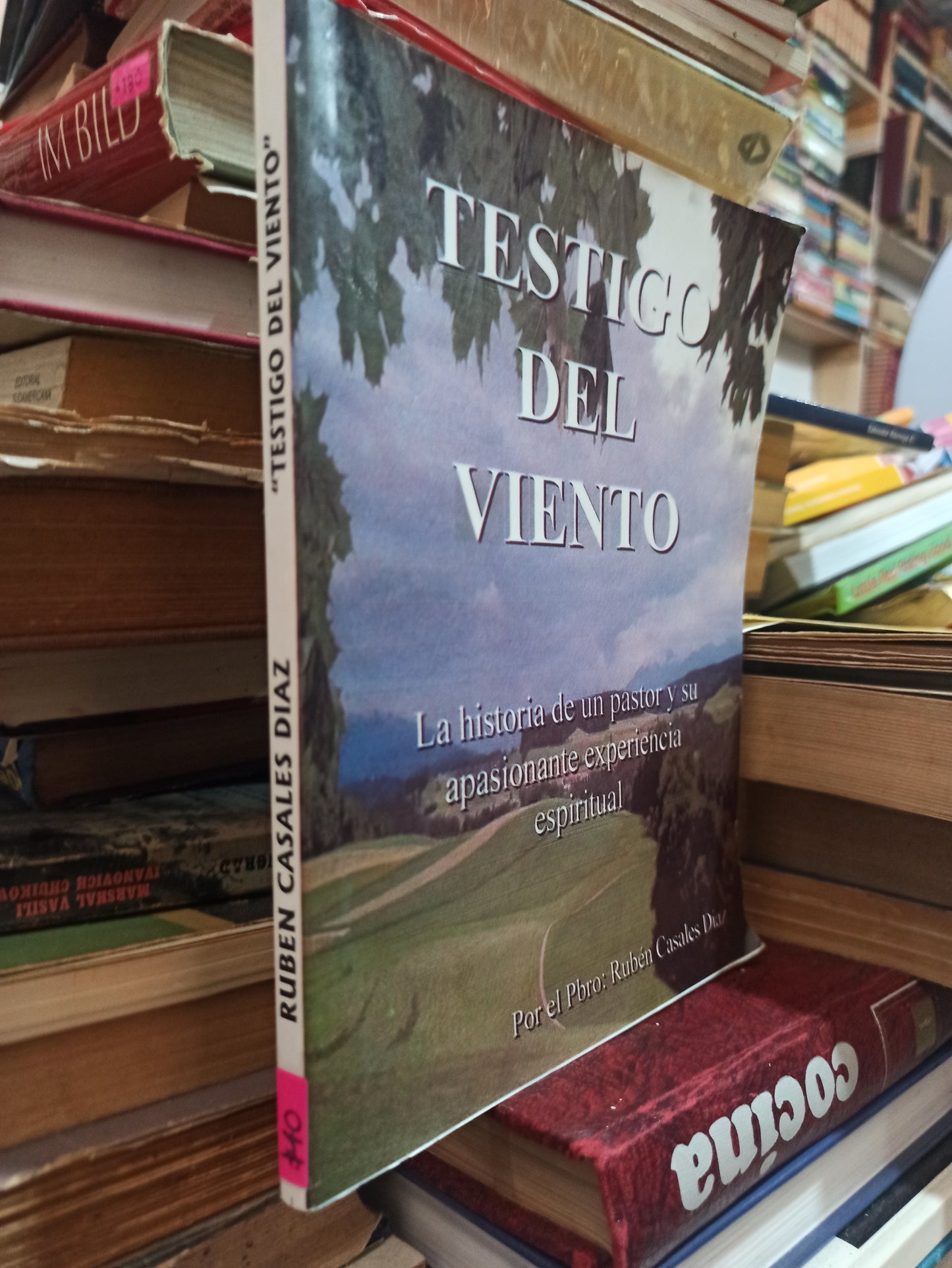 TESTIGO DEL VIENTO POR RUBEN CASALES DIAZ USADO SUPERACIÓN PERSONAL ALDAMA