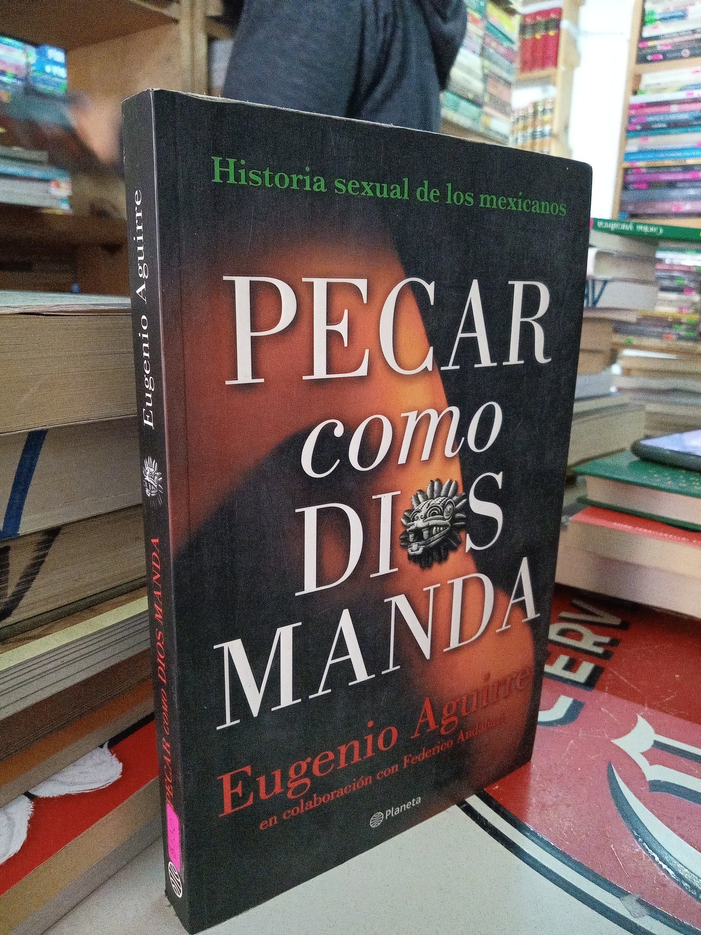 PECAR COMO DIOS MANDA POR EUGENIO AGUIRRE USADO NOVELA LITERARIO 207