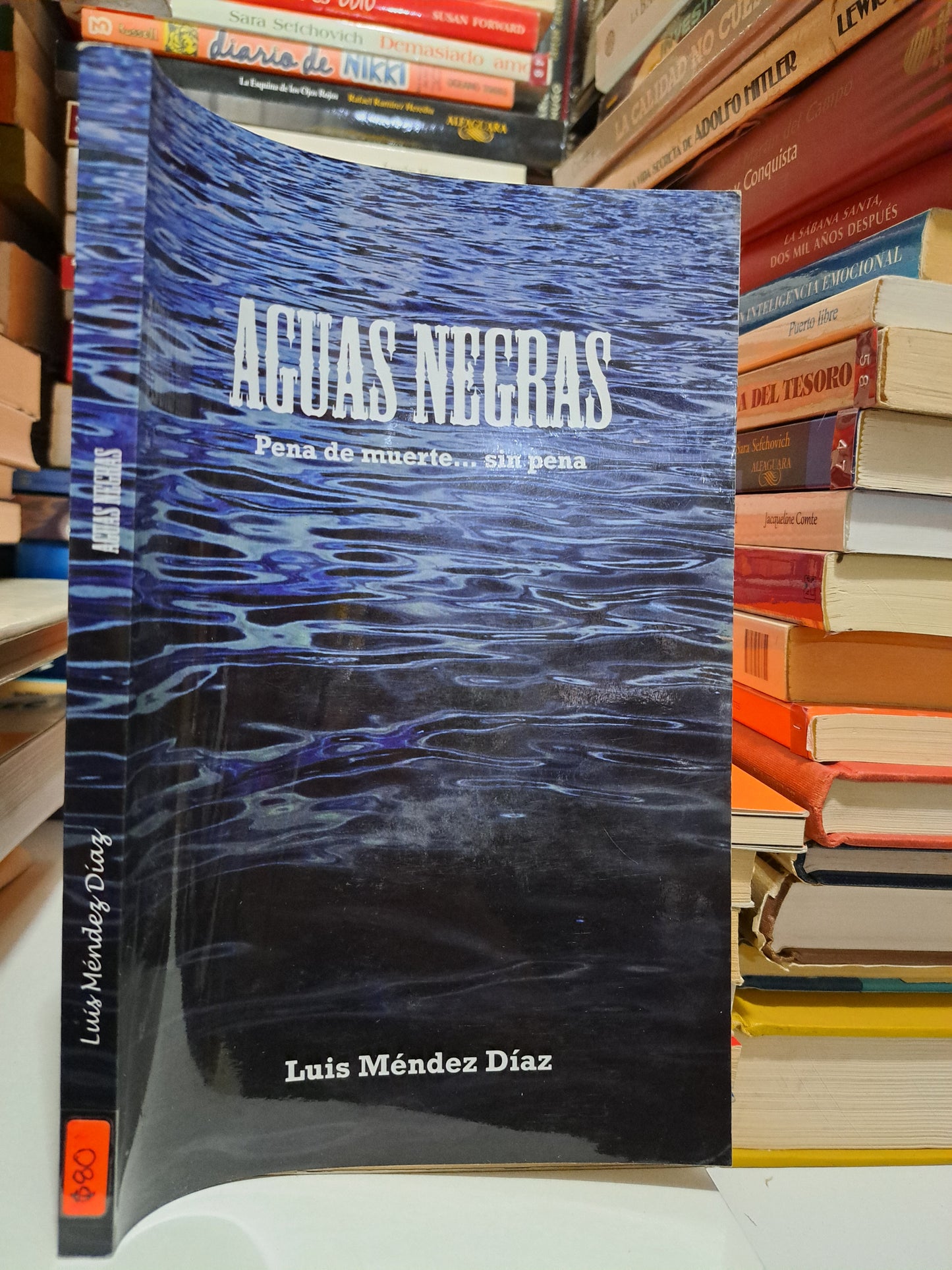 AGUAS NEGRAS PENA DE MUERTE... SIN PENA LUIS MÉNDEZ DÍAZ USADO NOVELA JUÁREZ