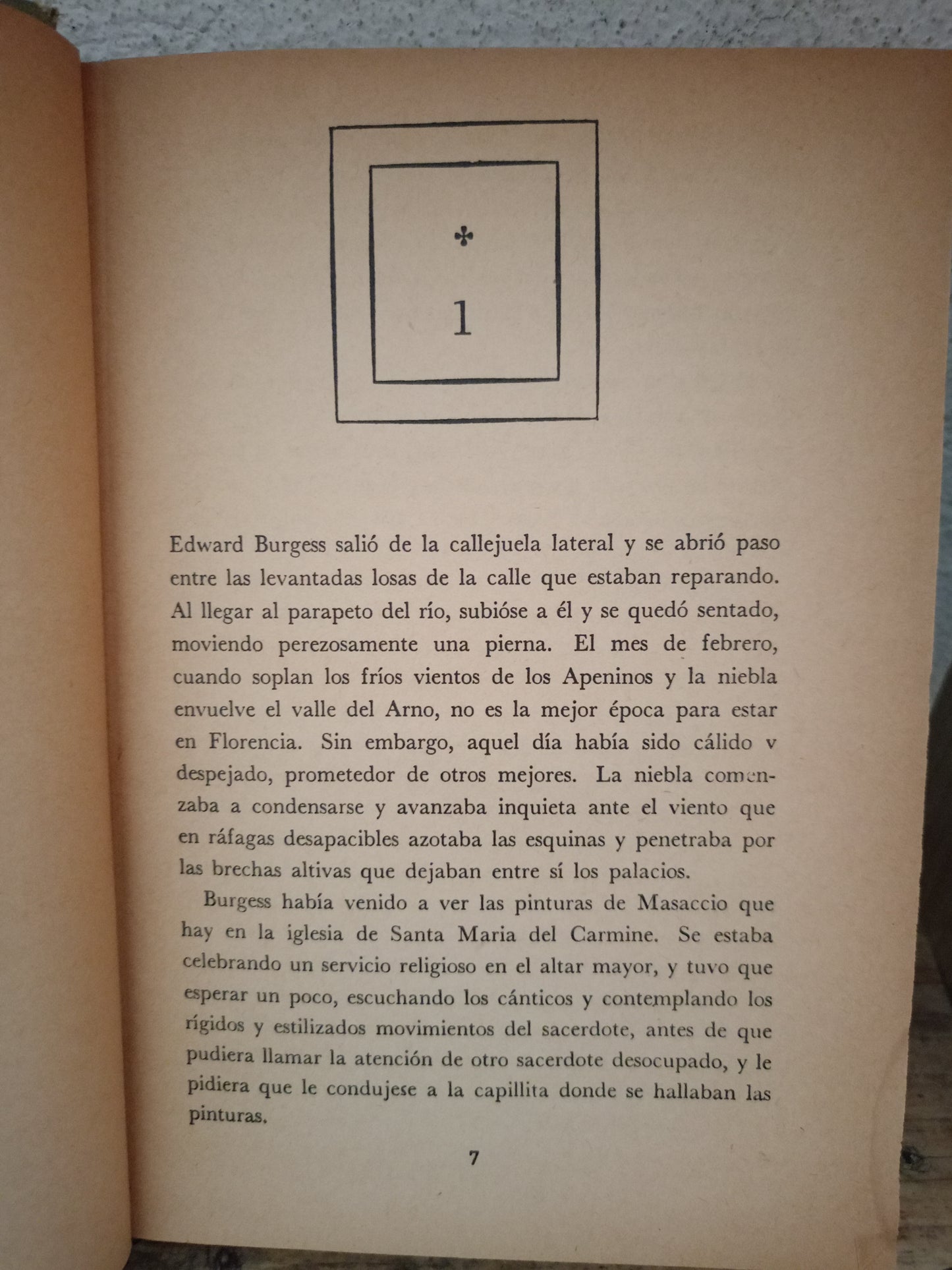 EL ALUD POR VÍCTOR CANNING USADO NOVELA LITERARIO 305