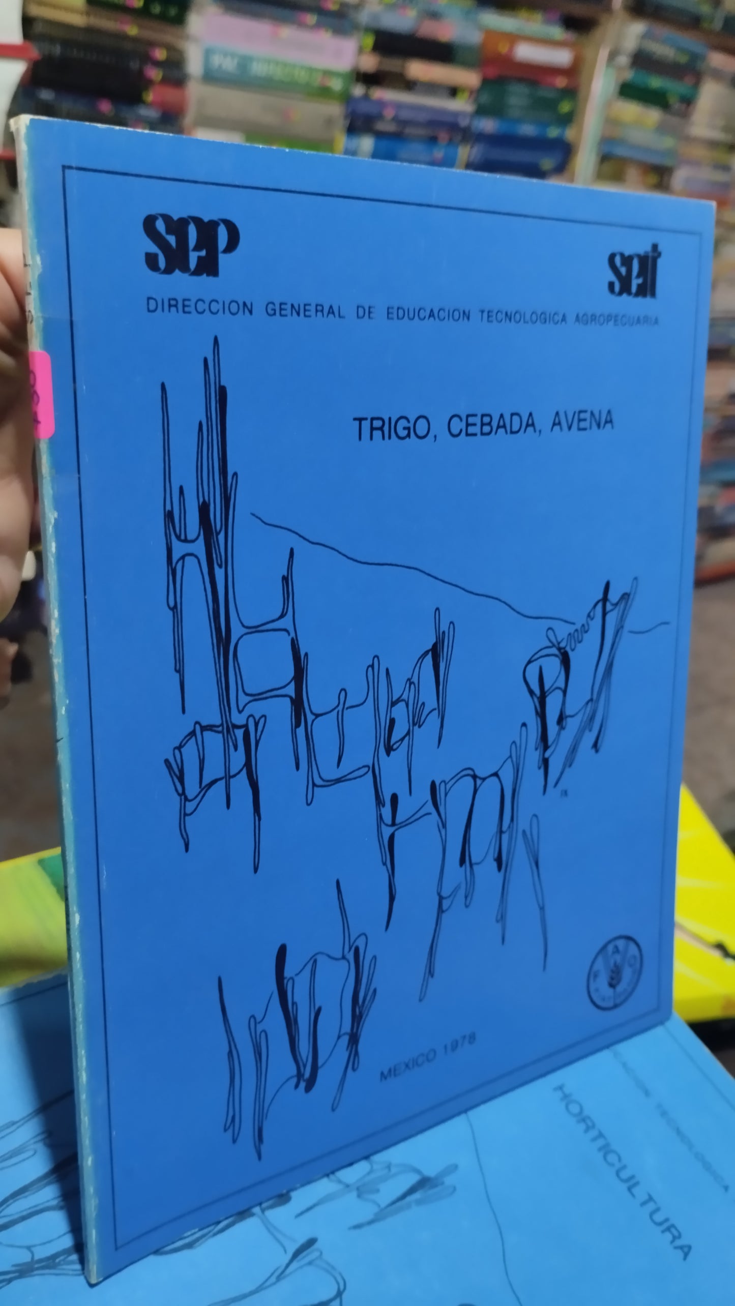 TRIGO CEBADA AVENA LIBRO USADO AGRICULTURA ALDAMA