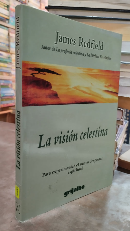 LA VISION CELESTINA POR JAMES REDFIELD LIBRO USADO SUPERACION PERSONAL ALDAMA