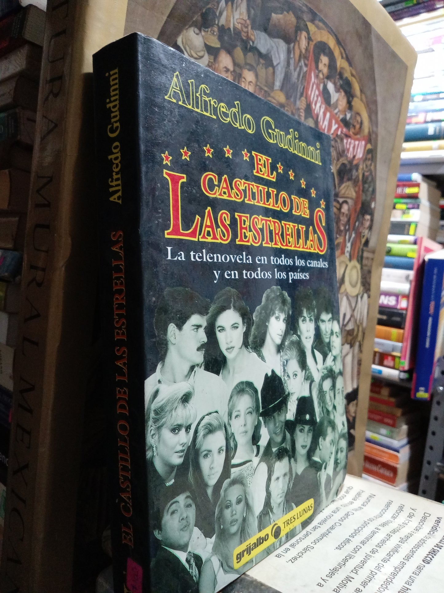 EL CASTILLO DE LAS ESTRELLAS POR ALFREDO GUDINNI USADO NOVELA JUAREZ