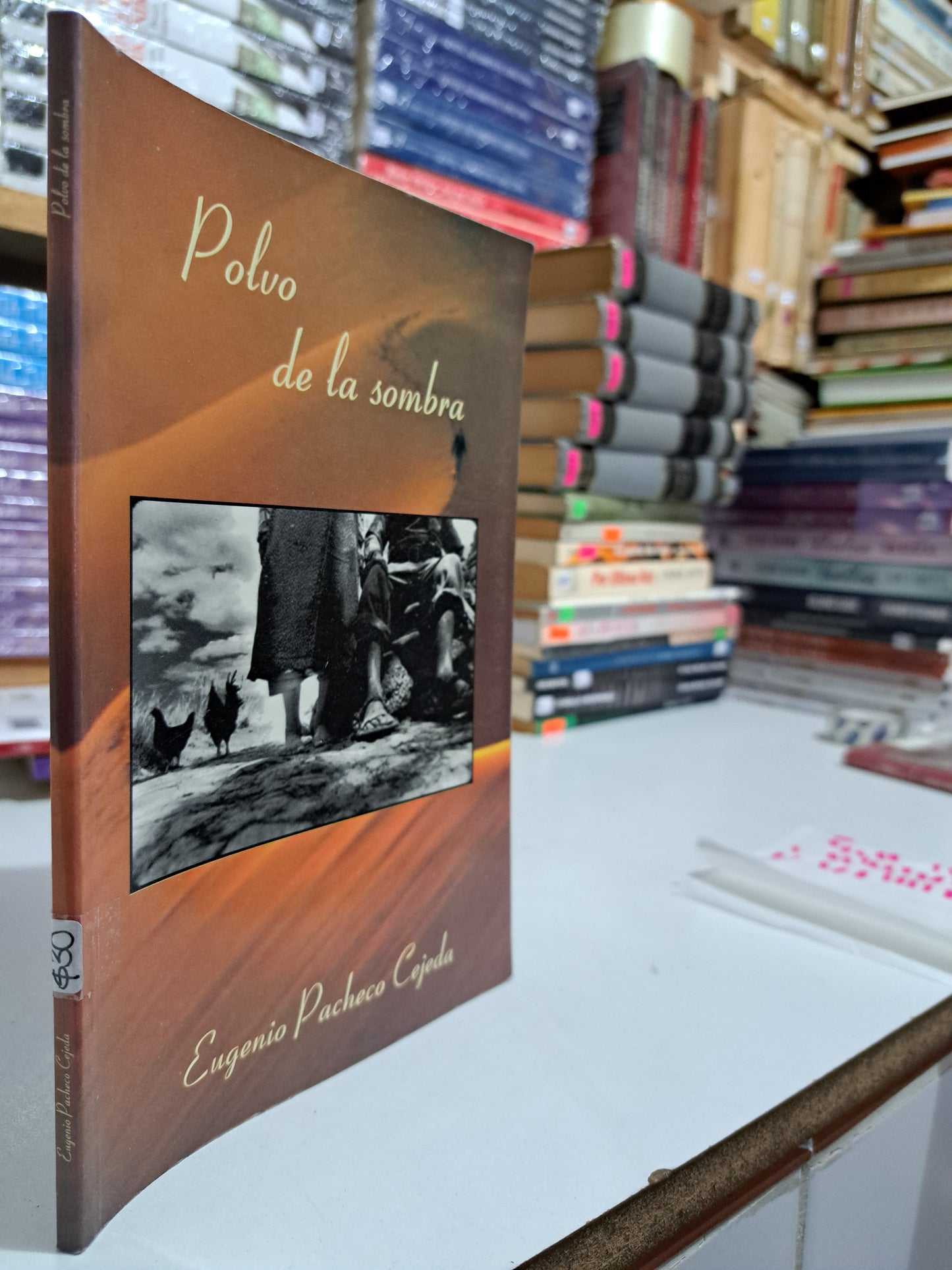 POLVO DE LA SOMBRA EUGENIO PACHECO CEJEDA USADO NOVELA JUÁREZ