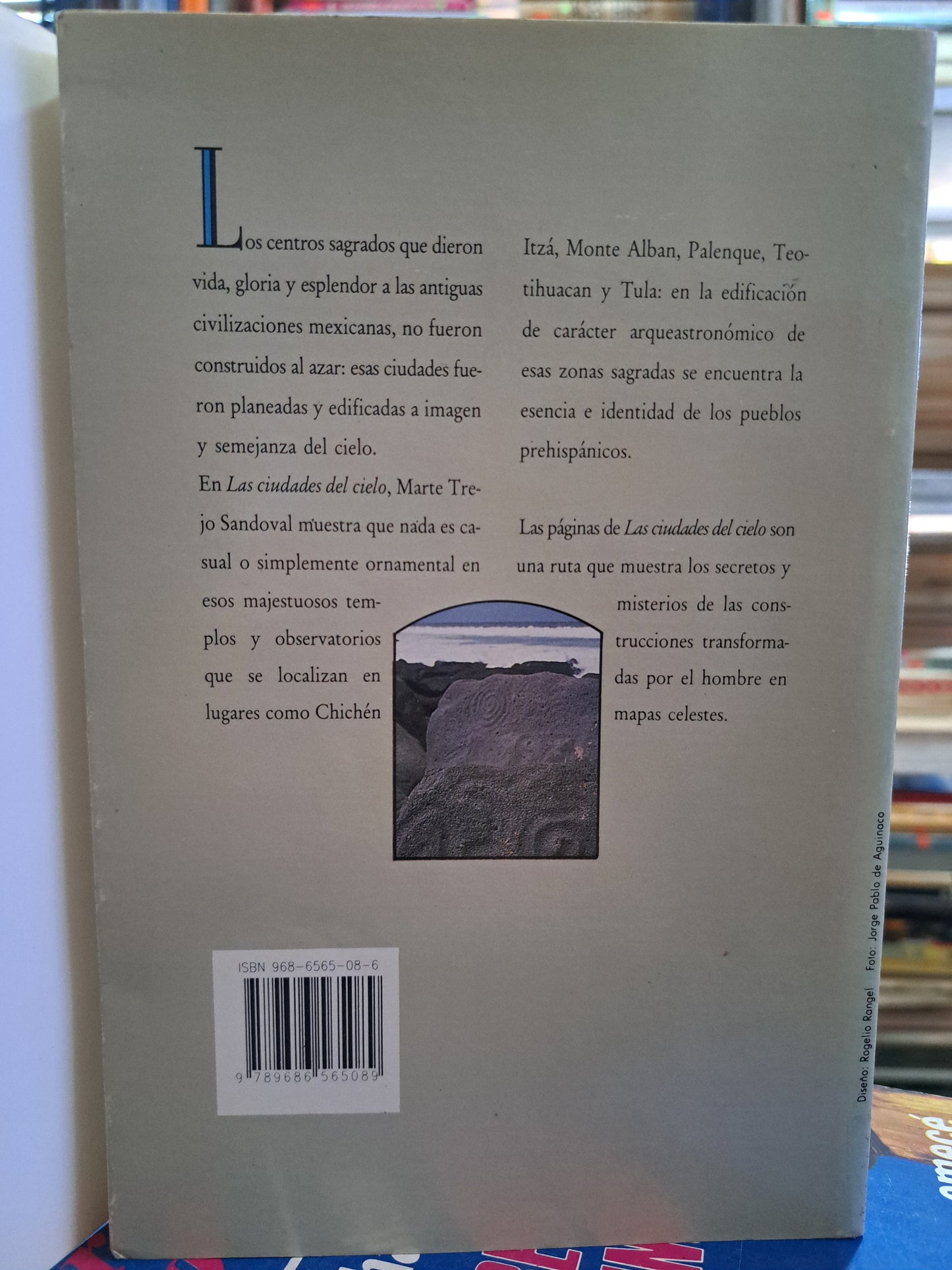 LAS CIUDADES DEL CIELO MARTE TREJO SANDOVAL USADO NOVELA ALDAMA