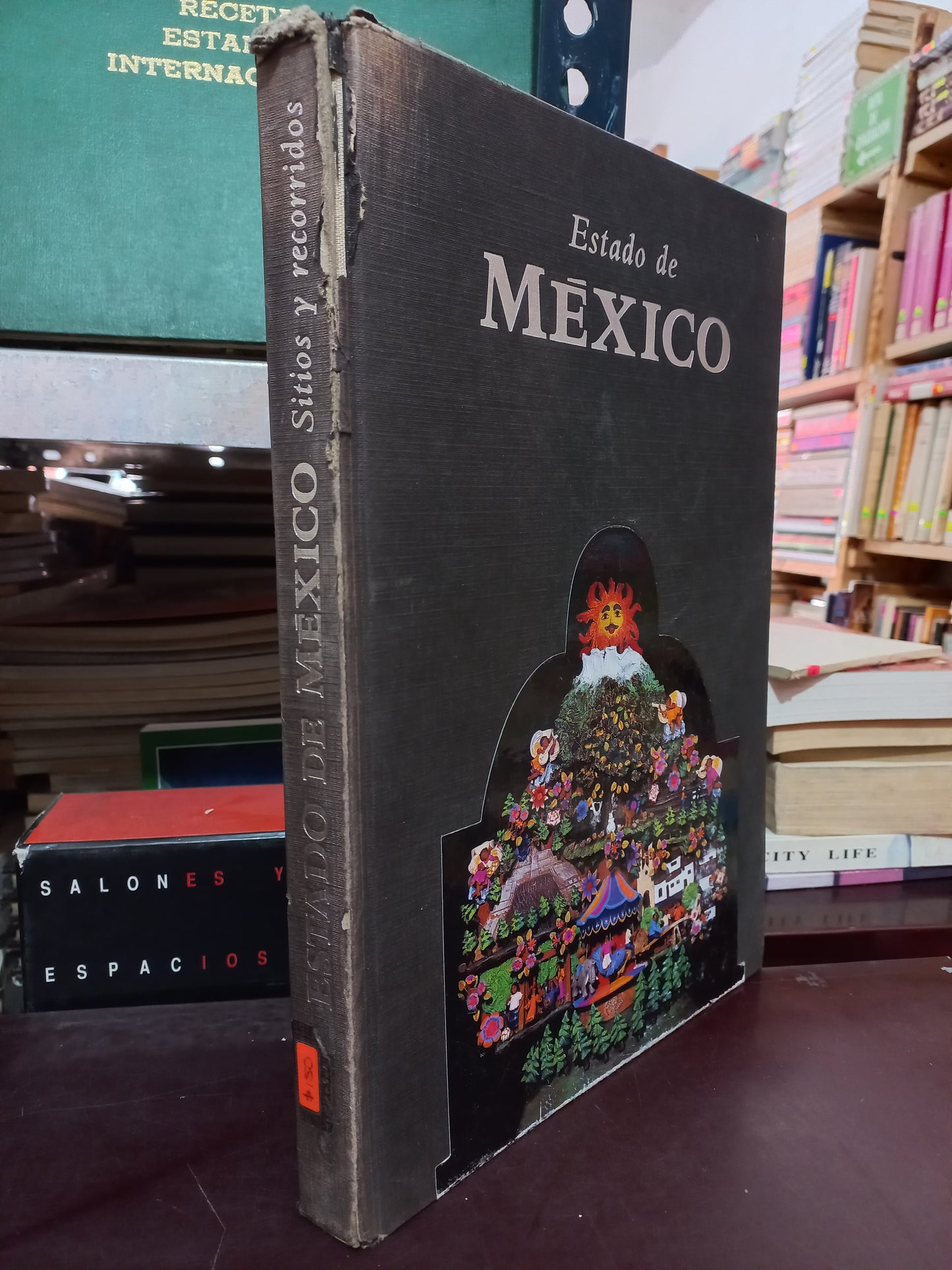 ESTADO DE MEXICO SITIOS Y RECORRIDOS USADO ESTADO DE MEXICO LITERARIO 305