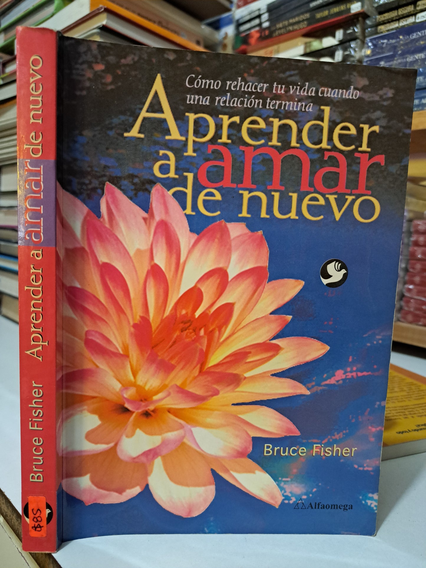 APRENDER A AMAR DE NUEVO BRUCE FISHER USADO QUE SUPERACIÓN PERSONAL JUÁREZ