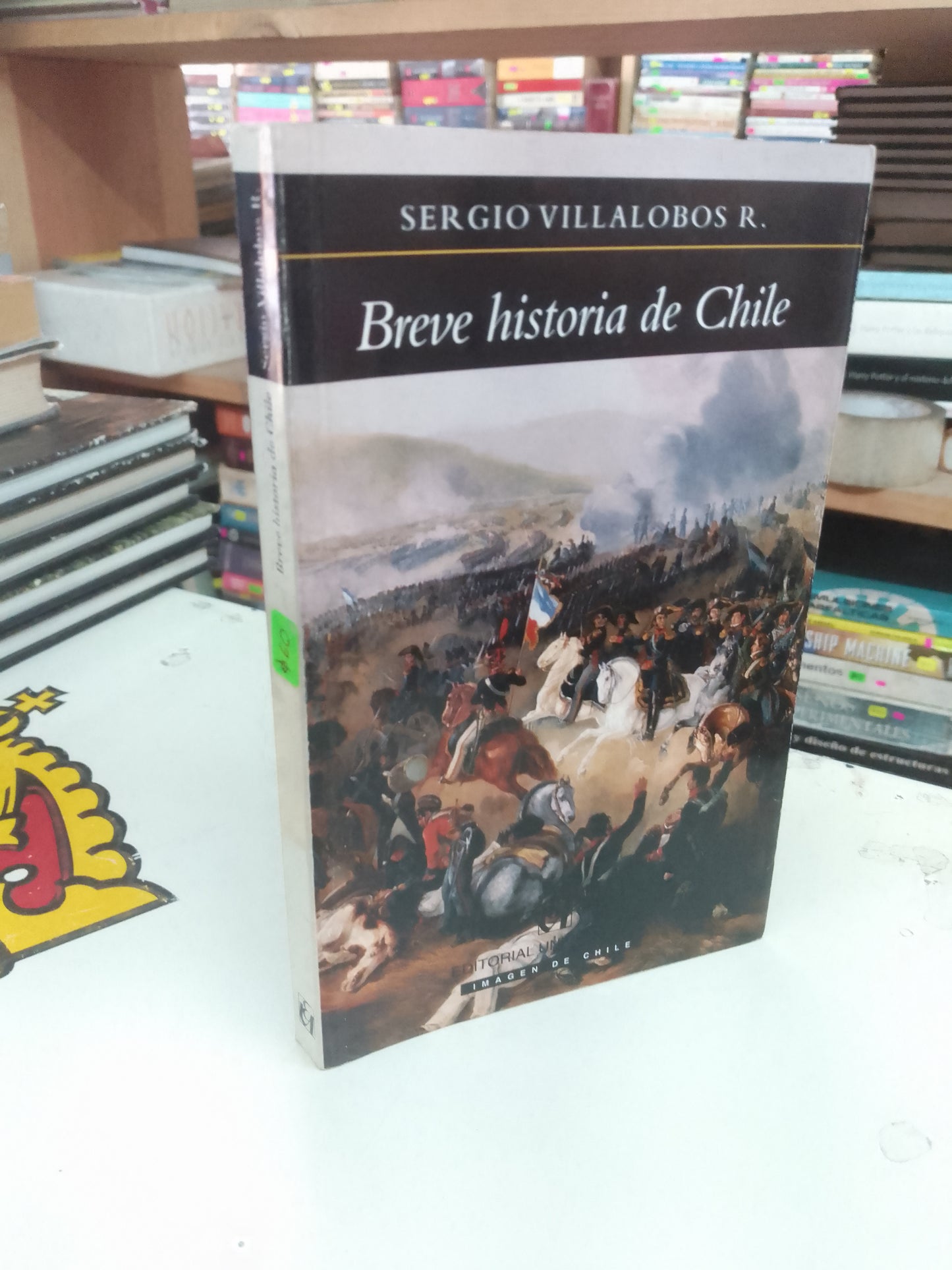 BREVE HISTORIA DE CHILE POR SERGIO VILLALOBOS R. USADO HISTORIA LITERARIO 207
