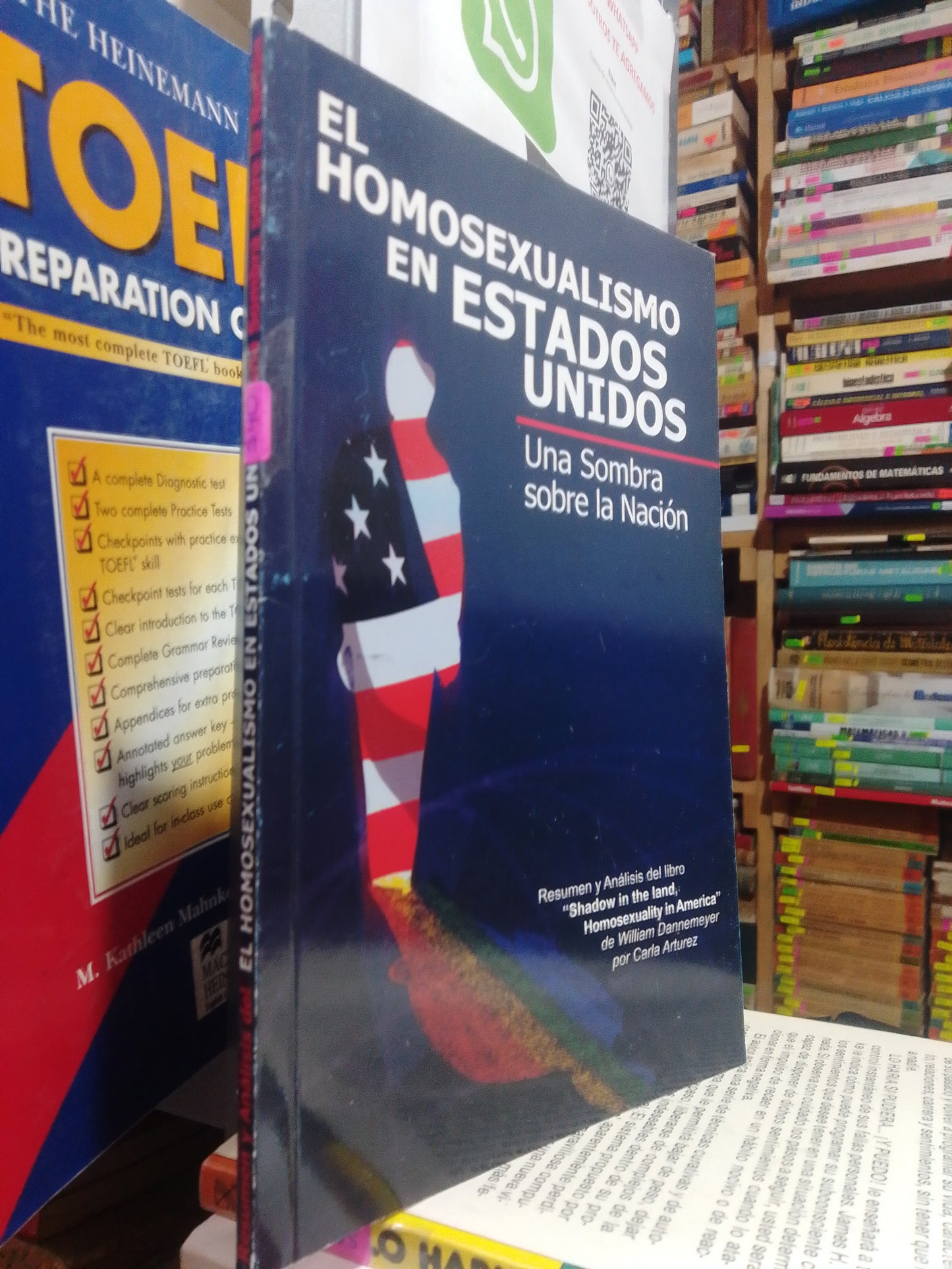 EL HOMOSEXUALISMO EN ESTADOS UNIDOS UNA SUMA EN LA NACION USADO POLITICA JUAREZ