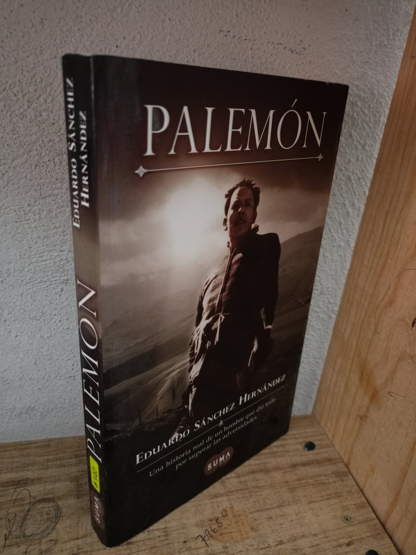 PALEMÓN POR EDUARDO SÁNCHEZ HERNÁNDEZ USADO NOVELA LITERARIO 305