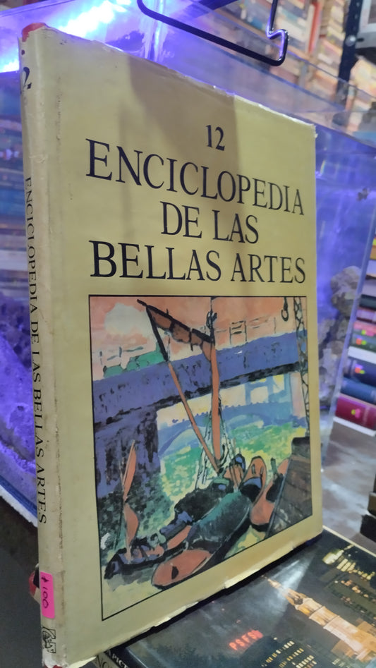 ENCICLOPEDIA DE LAS BELLAS ARTES 12 LIBRO USADO ARTE ALDAMA