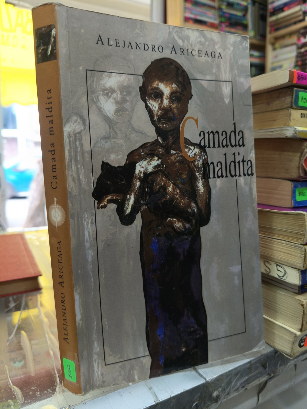 CAMADA MALDITA POR ALEJANDRO ARICEAGA USADO NOVELA JUAREZ 507