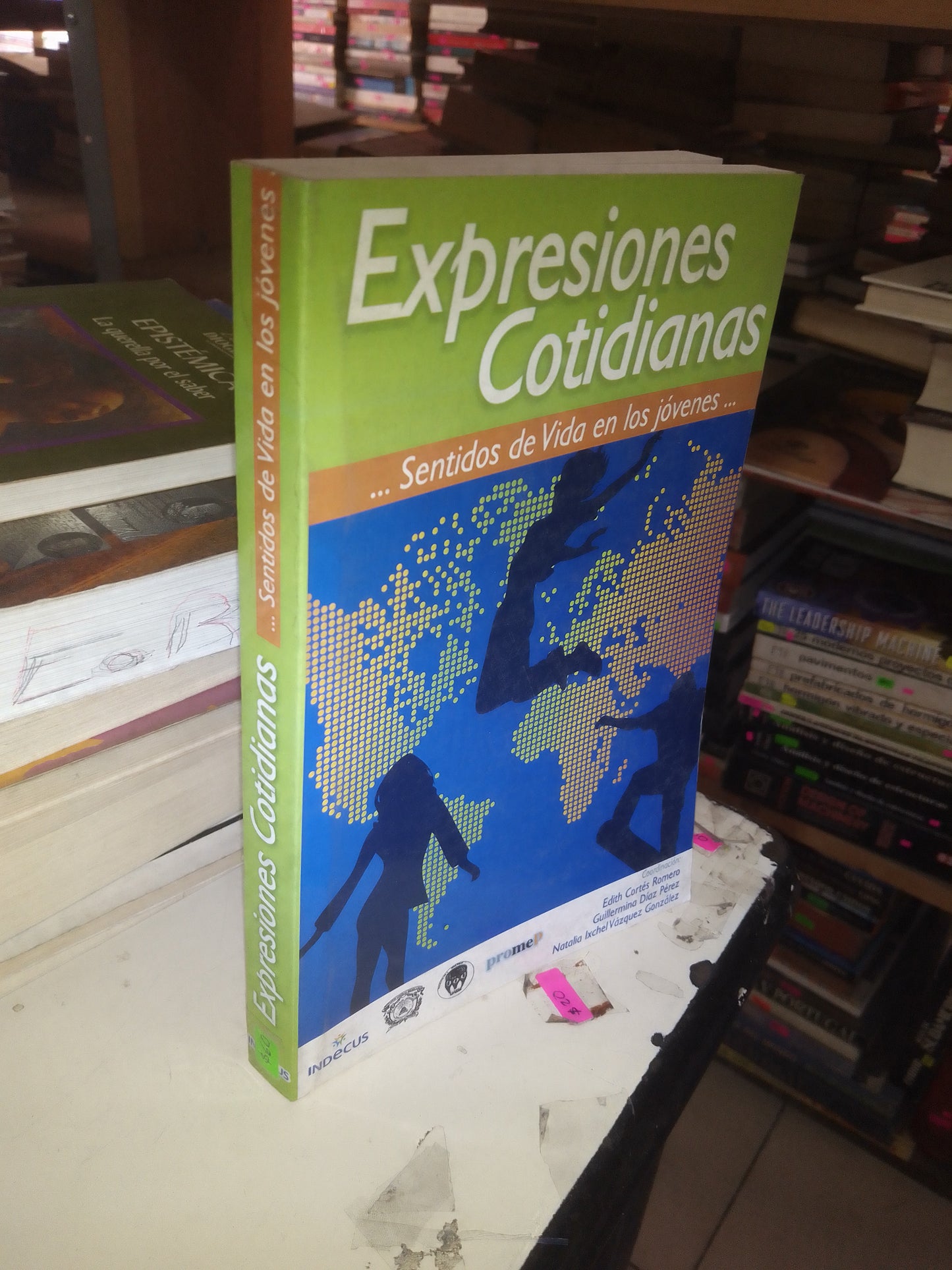 EXPRESIONES COTIDIANAS... SENTIDOS DE VIDA EN LOS JOVENES (VARIOS AUTORES) USADO EDUCACIÓN LITERARIO 207