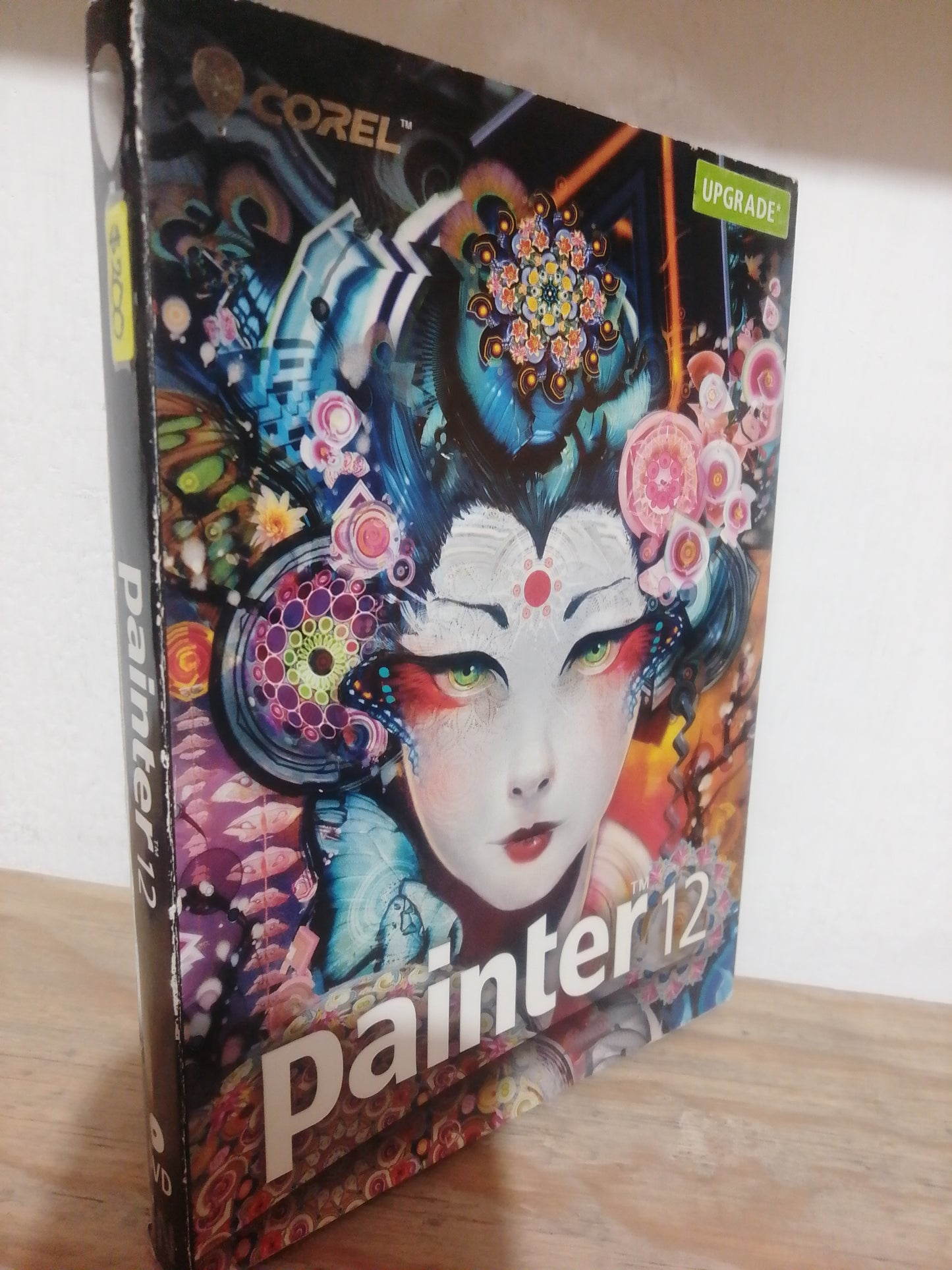 PAINTER 12 USADO IDIOMAS JUAREZ