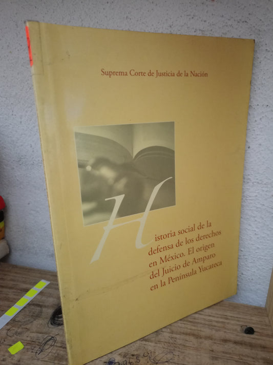 HISTORIA SOCIAL DE LA DEFENSA DE LOS DERECHOS EN MEXICO EL ORIGEN EN LA PENINSULA YUCATECA USADO DERECHO LITERARIO 305