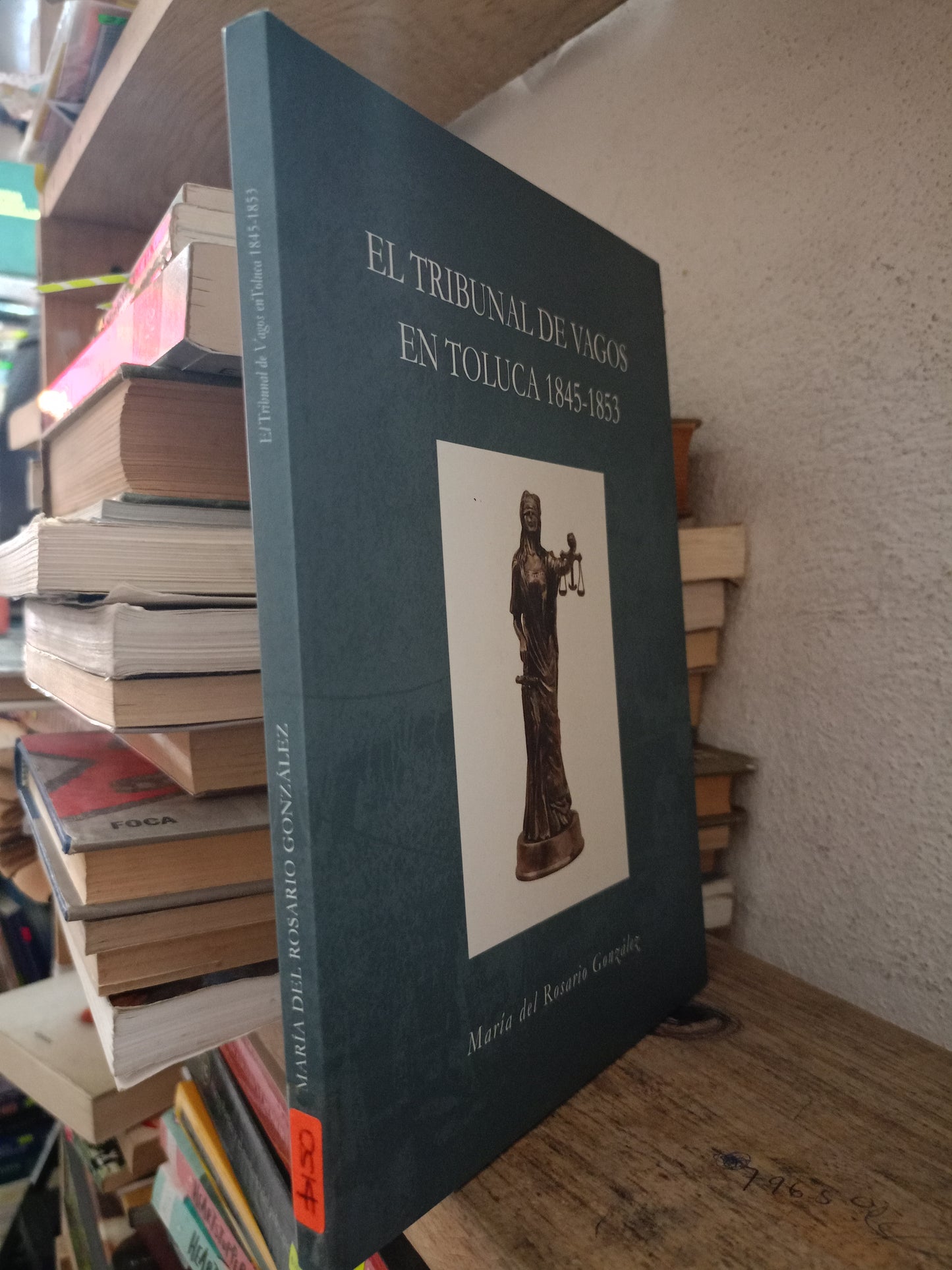 EL TRIBUNAL DE VAGOS EN TOLUCA POR MARIA DEL ROSARIO GONZÁLEZ USADO HISTORIA LITERARIO 305