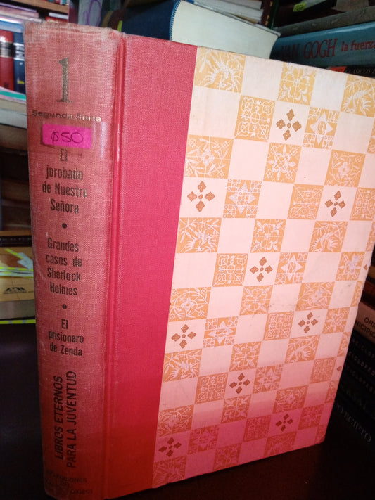 LIBROS ETERNOS PARA LA JUVENTUD USADO NOVELA LITERARIO 305
