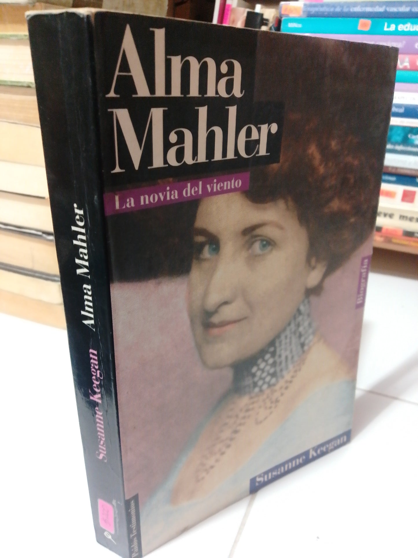 ALMA MAHLER LA NOVIA DEL VIENTO POE SUSANNE KEEGAN USADO NOVELA JUAREZ