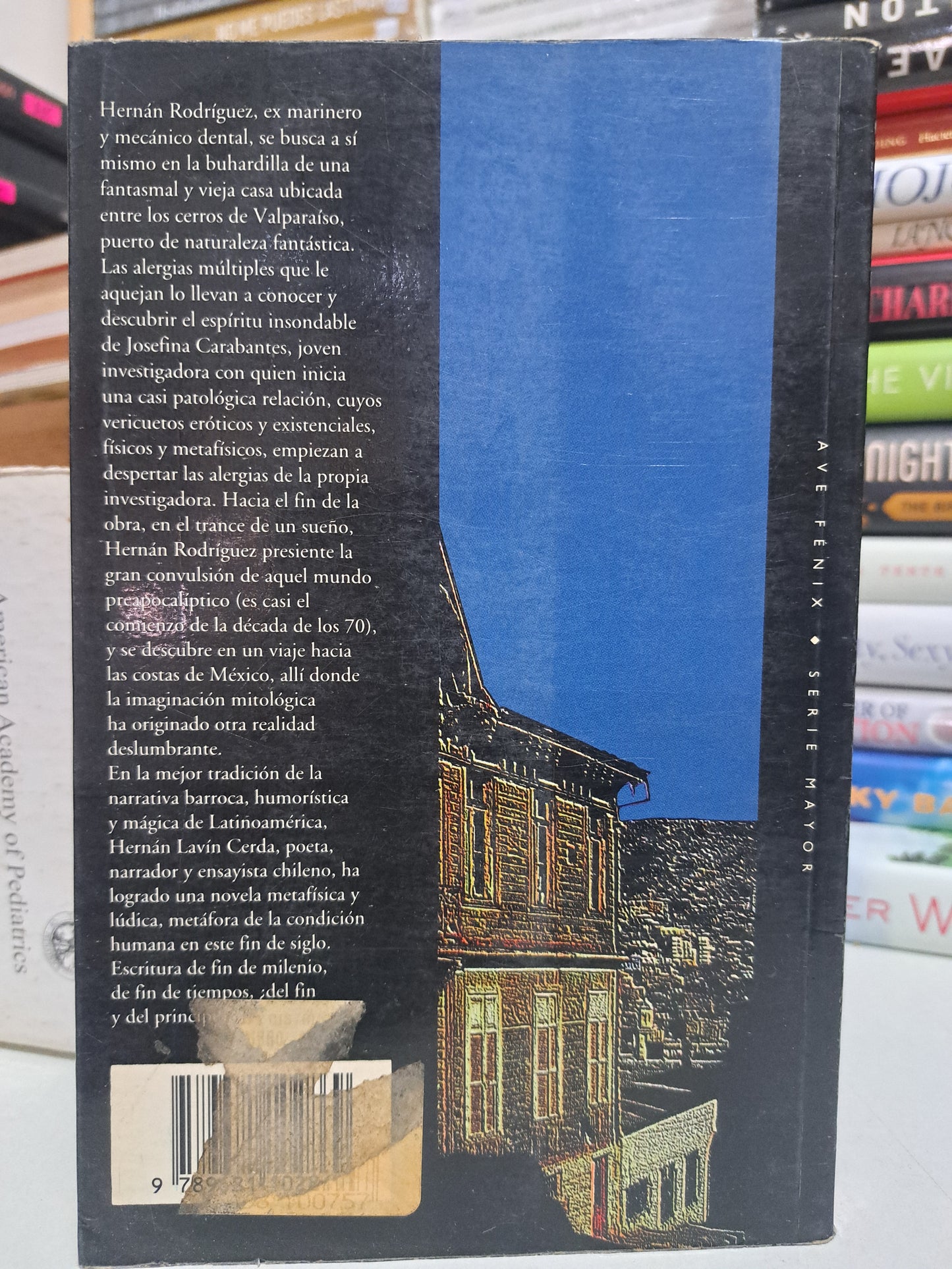 HISTORIA DE AQUEL VERANO EN VALPARAÍSO HERNÁN LAVÍN CERDA USADO NOVELA JUÁREZ