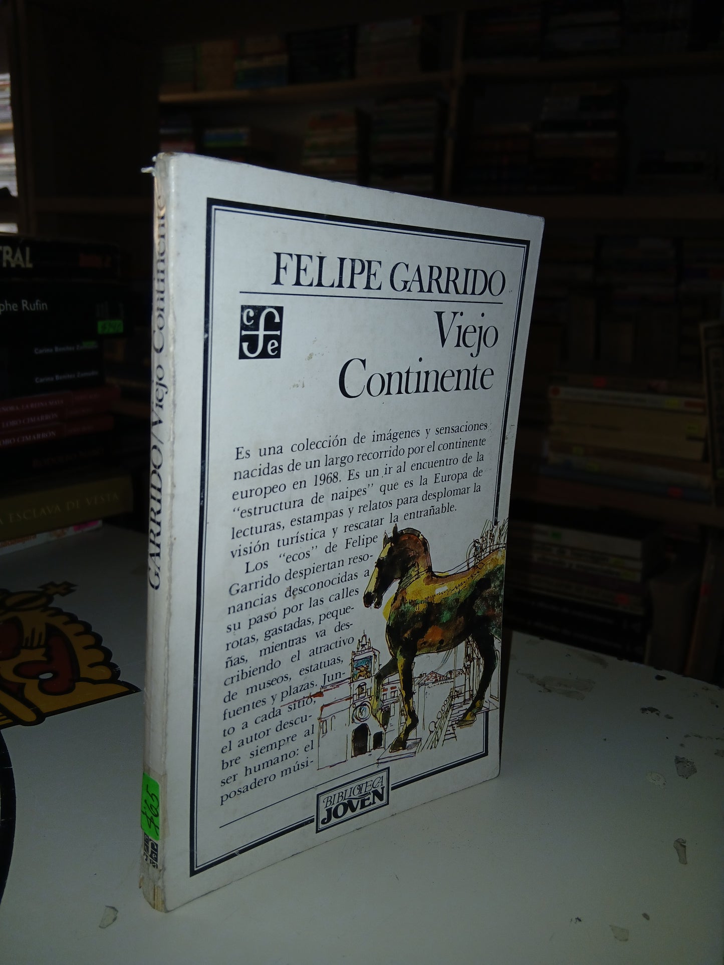 VIEJO CONTINENTE FELIPE GARRIDO USADO NOVELA LITERARIO 207