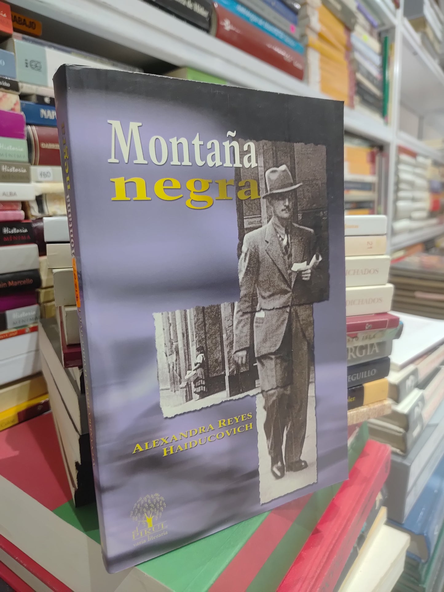 MONTAÑA NEGRA POR ALEXANDRA REYES USADO NOVELAS JUAREZ 515