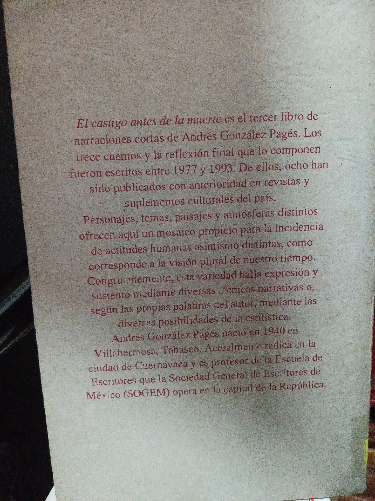 EL CASTIGO ANTES DE LA MUERTE ANDRES GONZALEZ PAGÉS USADO NOVELA LITERARIO 305