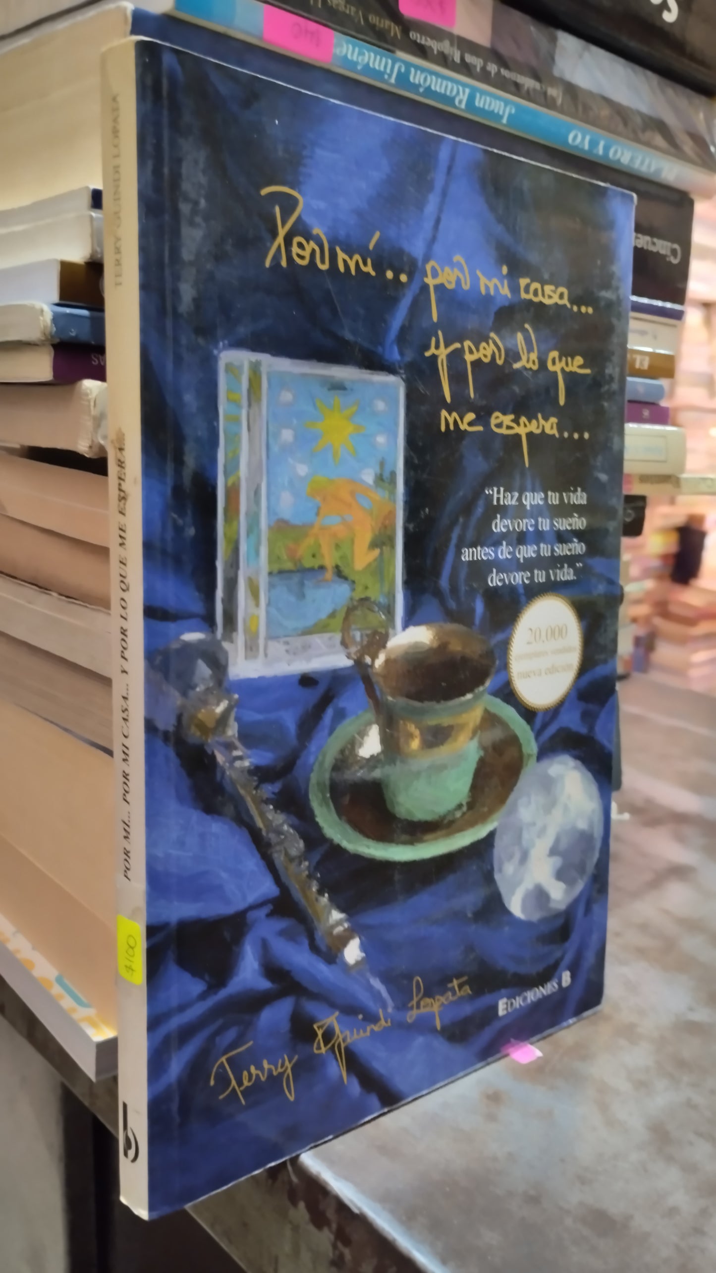 POR MI POR MI CASA Y POR LO QUE ME ESPERA POR TERRY GUINDILOPATA LIBRO USADO NOVELAS ALDAMA