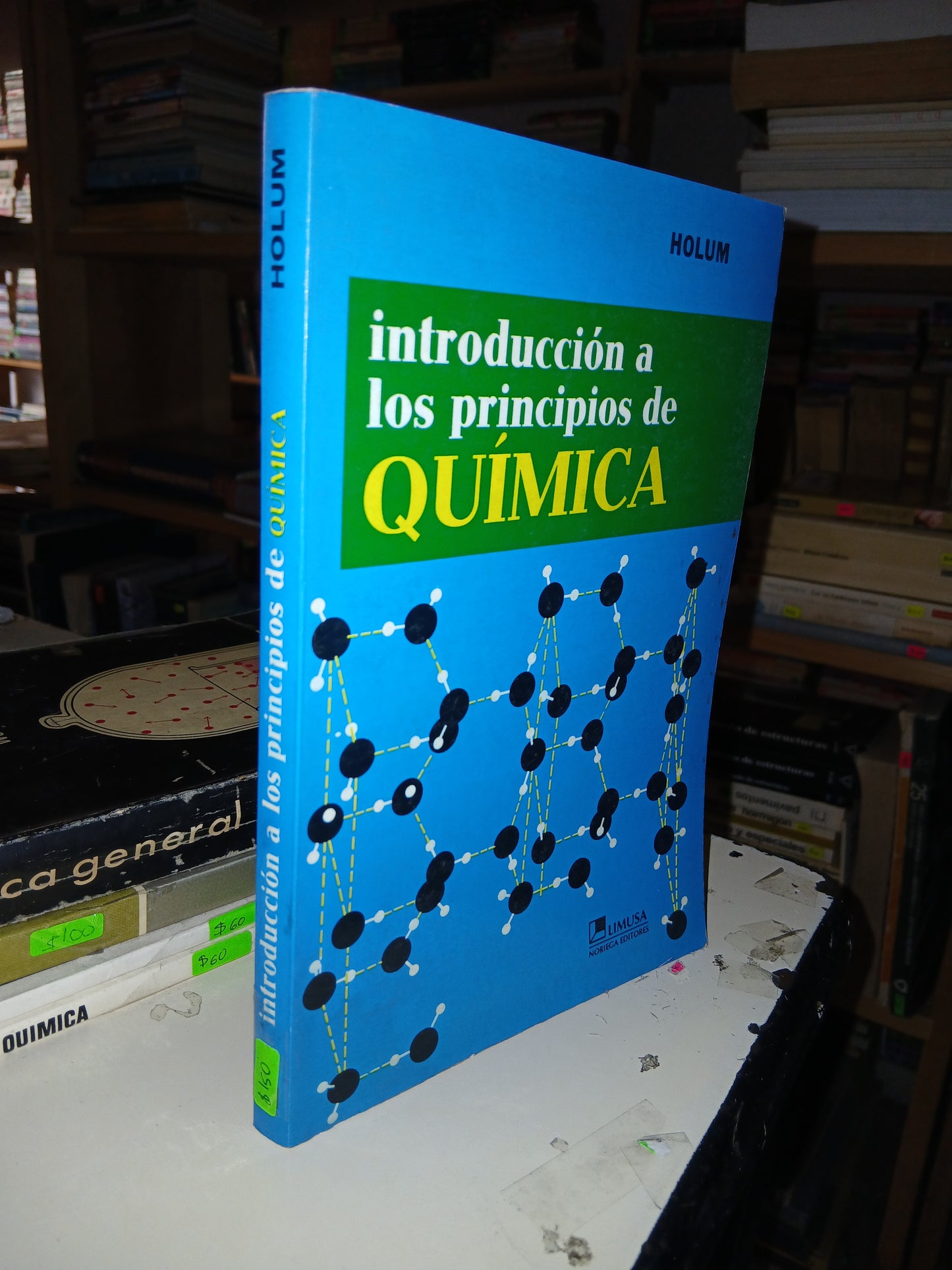 INTRODUCCIÓN A LOS PRINCIPIOS DE QUÍMICA POR JOHN R. HOLUM USADO QUÍMICA LITERARIO 207