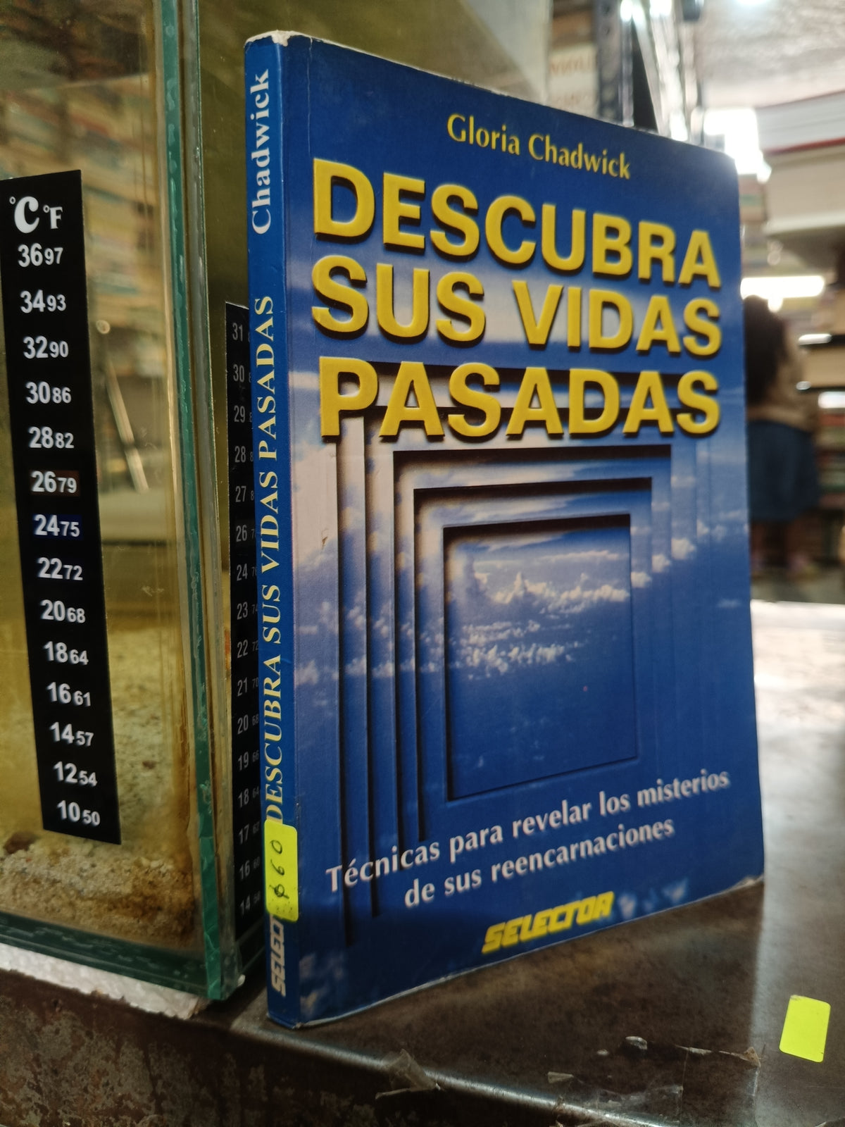 DESCUBRA SUS VIDAS PASADAS POR GLORIA CHADWICK USADO ESOTERISMO ALDAMA