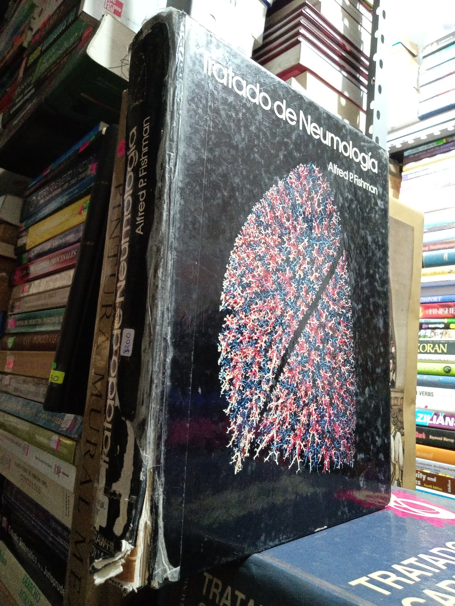TRATADO DE NEUMOLOGIA POR ALFRED P FISHMAN USADO SALUD JUAREZ