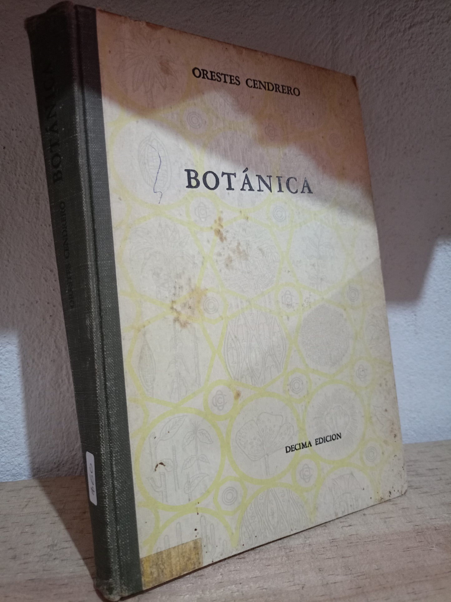 BOTANICA POR ORESTES CENDRERO USADO BIO LITERARIO 305