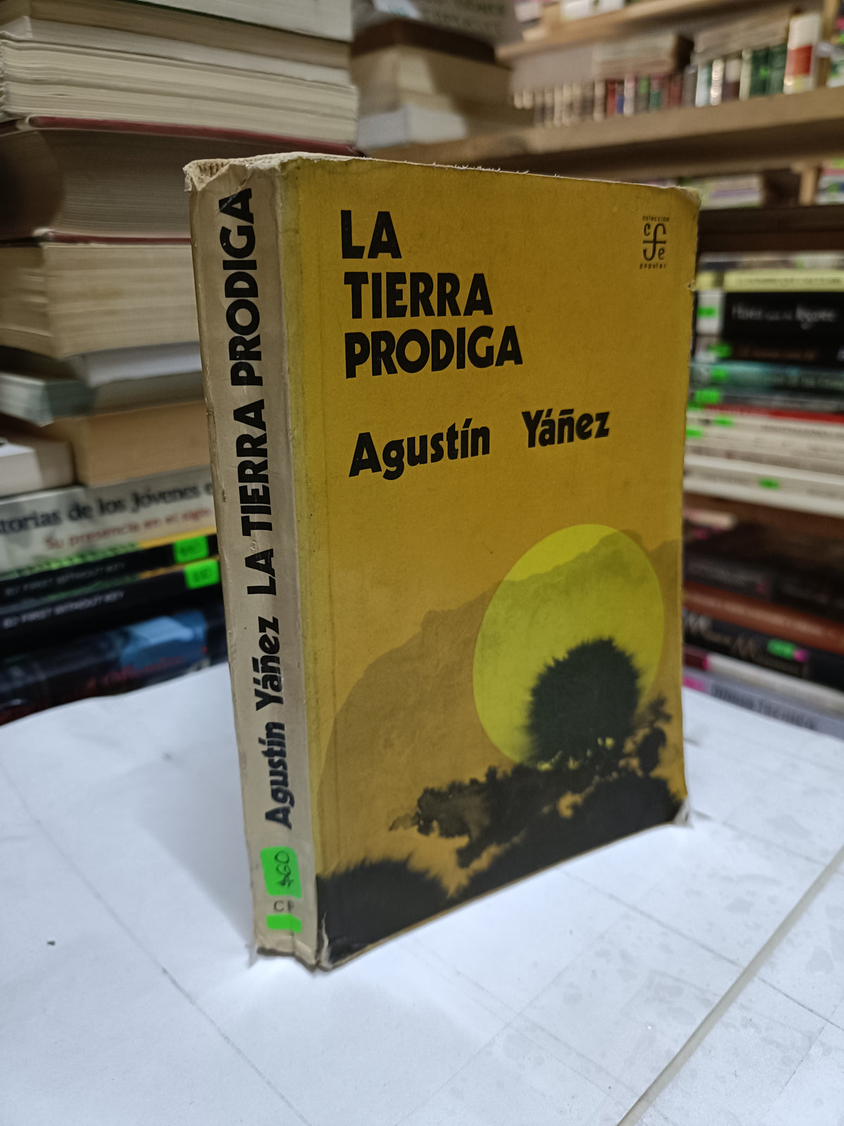 LA TIERRA PRODIGA POR AGUSTIN YANEZ USADO NOVELA LITERARIO 207