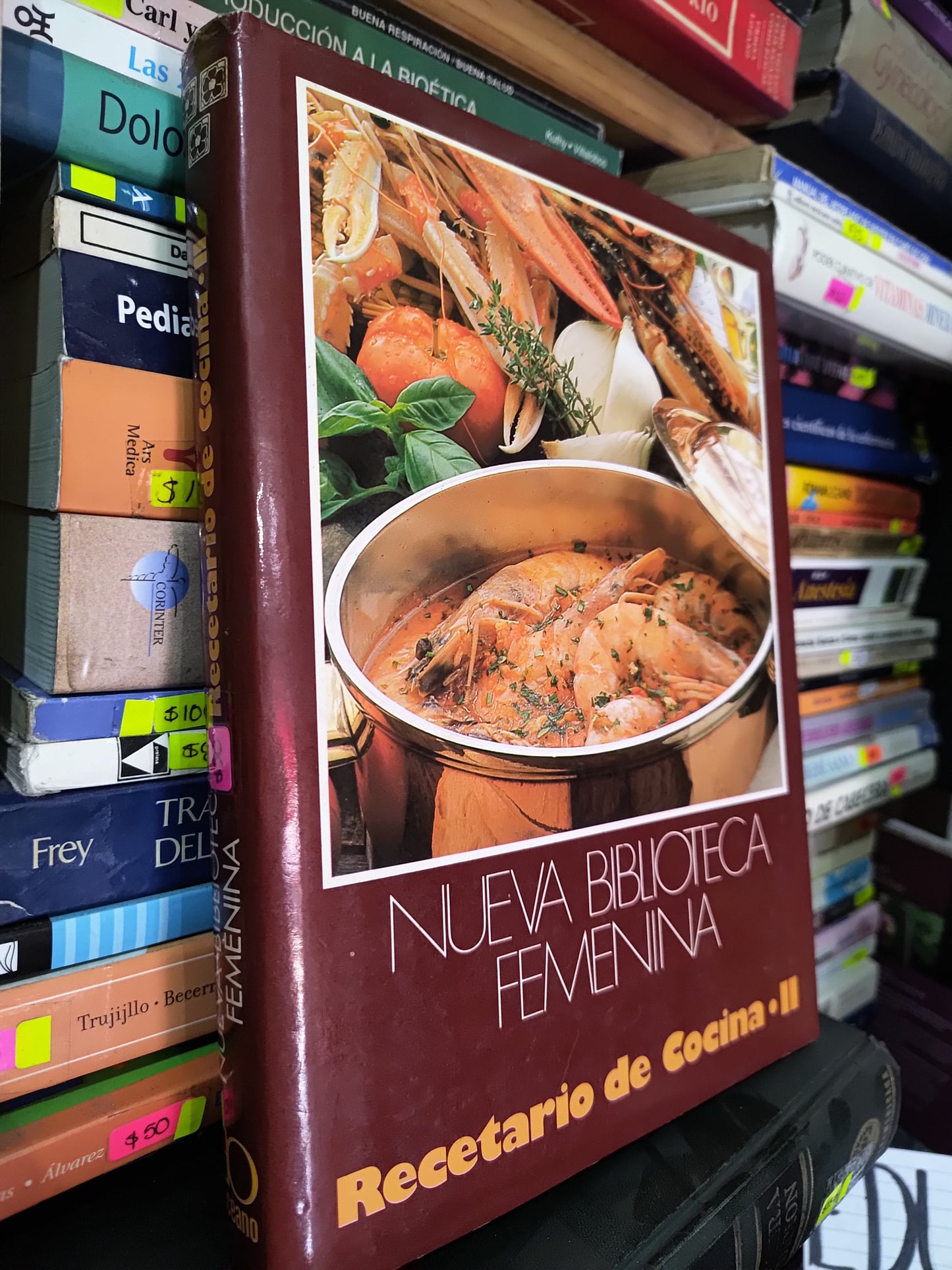 NUEVA BIBLIOTECA FEMENINA RECETARIO DE COCINA 2 POR EDITORIAL OCEANO USADO COCINA LITERARIO 305