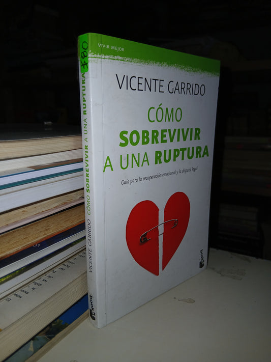 CÓMO SOBREVIVIR A UNA RUPTURA POR VICENTE GARRIDO USADO SUPERACIÓN PERSONAL LITERARIO 207