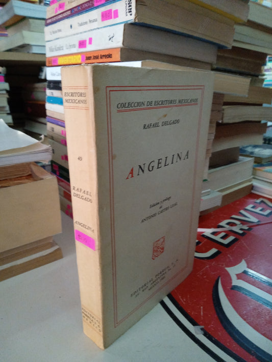 ANGELINA POR RAFAEL DELGADO USADO NOVELA LITERARIO 207
