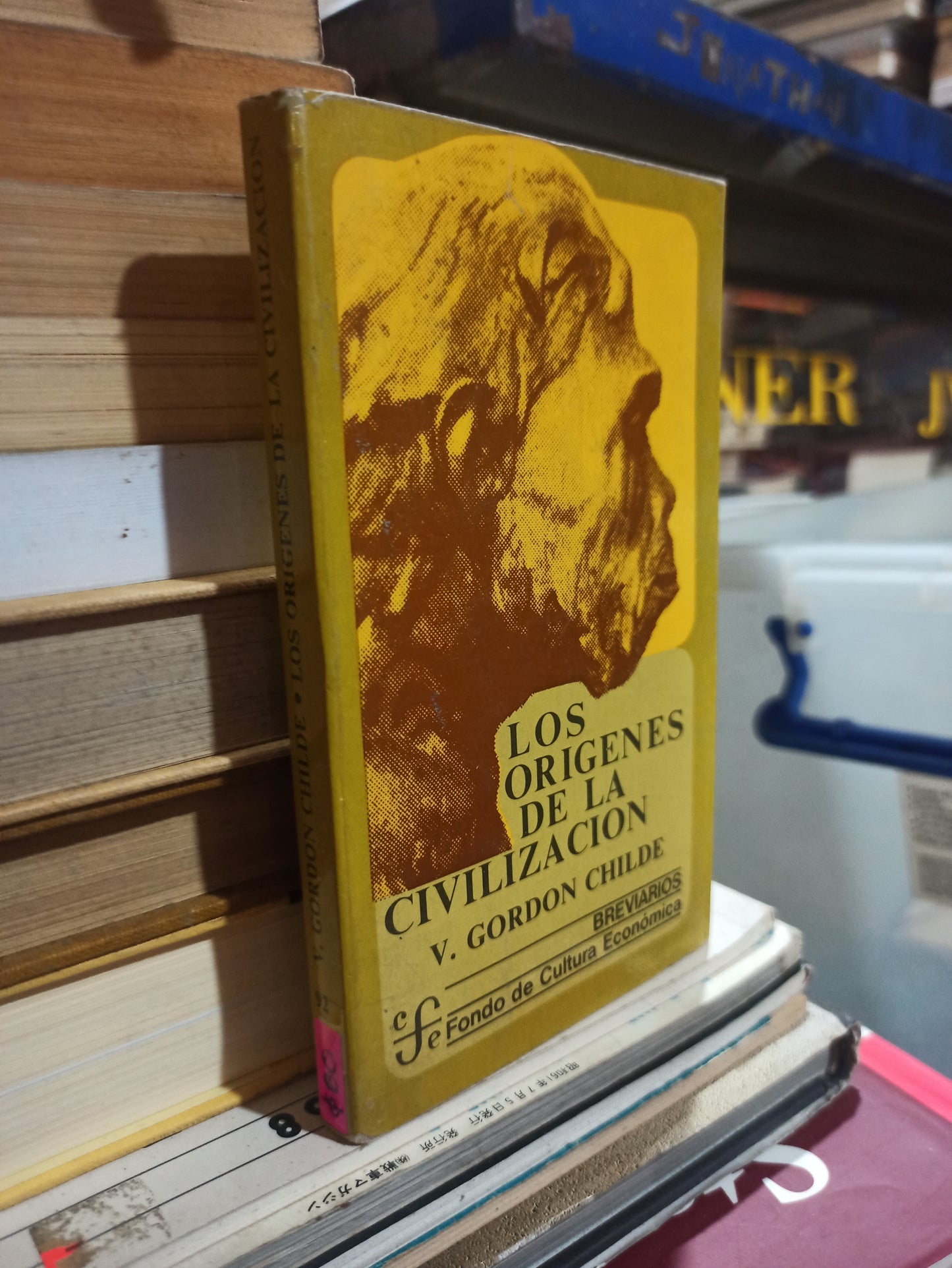 LOS ORIGENES DE LA CIVILIZACION POR V. GORDON CHILDE USADO SOCIOLOGIA ALDAMA
