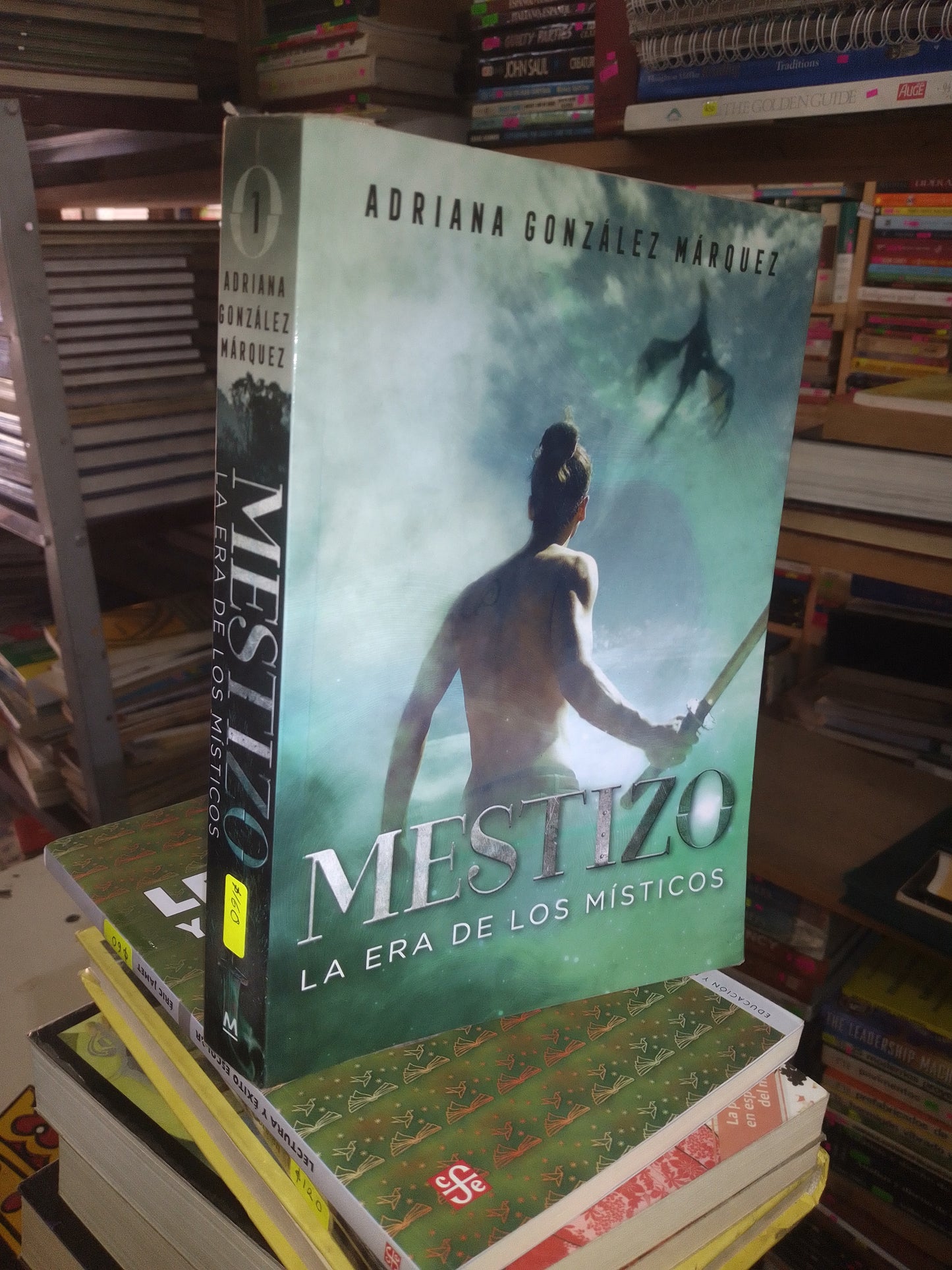 MESTIZO: LA ERA DE LOS MÍSTICOS POR ADRIANA GONZÁLEZ MÁRQUEZ USADO NOVELA LITERARIO 207