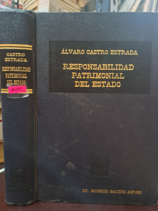 RESPONSABILIDAD PATRIMONIAL DEL ESTADO ÁLVARO CASTRO ESTRADA USADO DERECHO LITERARIO 305
