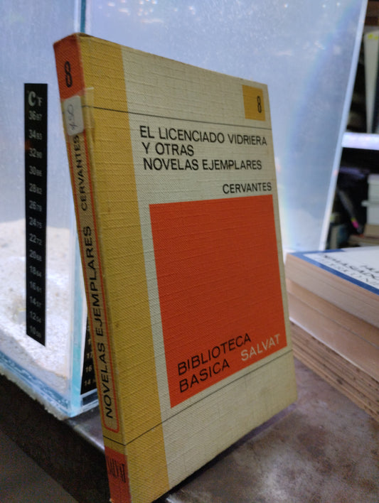 EL LICENCIADO VIDRIERA Y OTRAS NOVELAS EJEMPLARES PIR CERVANTES USADO NOVELAS ALDAMA